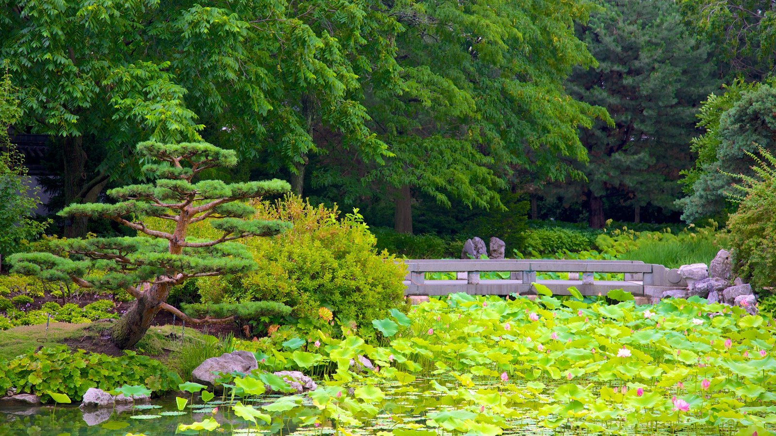 Botanical Garden Монреаль