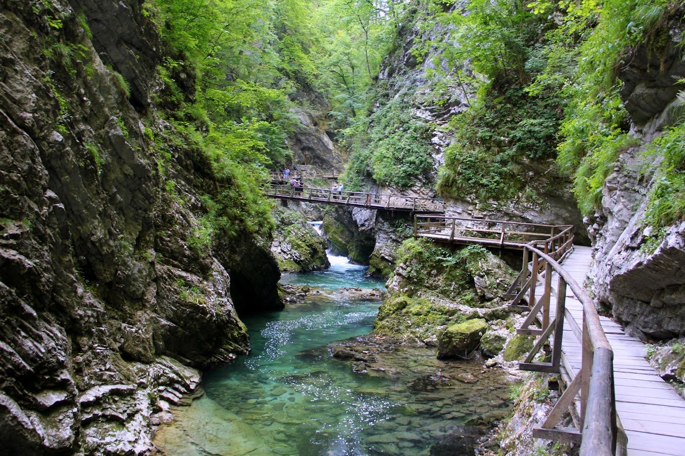 В лазаревском ущелье свирское фото