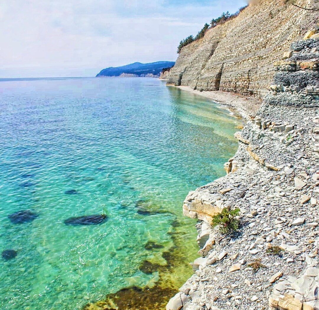 Геленджик голубая бухта Сосновка