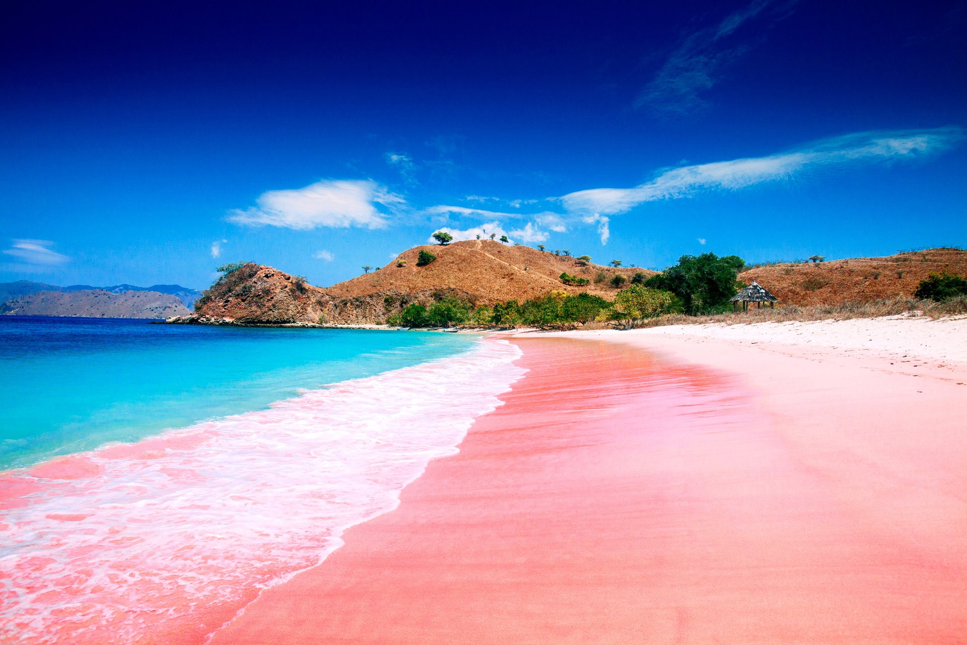 Покажи какие пляжи есть. Розовый пляж на острове Комодо Индонезия. Остров Харбор Багамские острова. Пляж Пинк Сэндс Бич Багамские острова. Розовый пляж Пинк Сэнд Бич, Багамские острова.