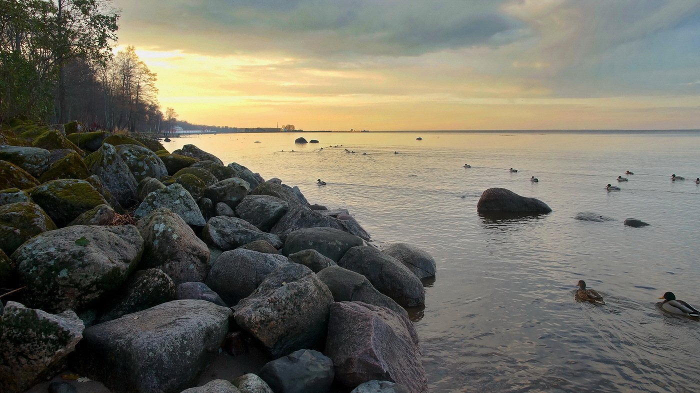 финский залив васильевский остров
