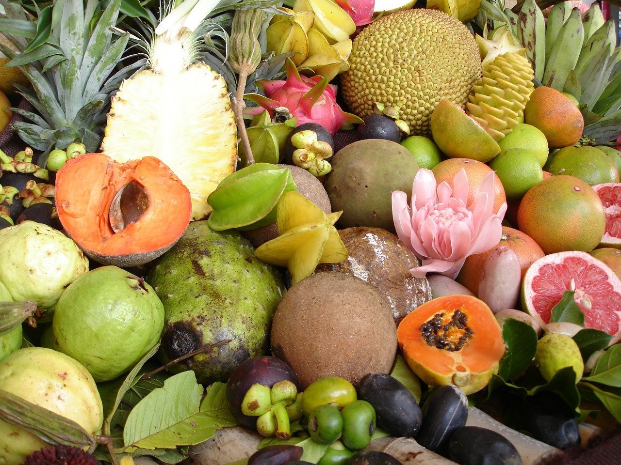 Тропические фрукты Австралии