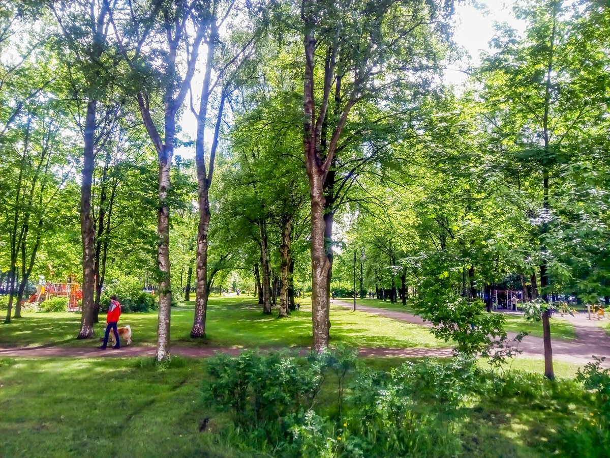 Парк на васильевском острове