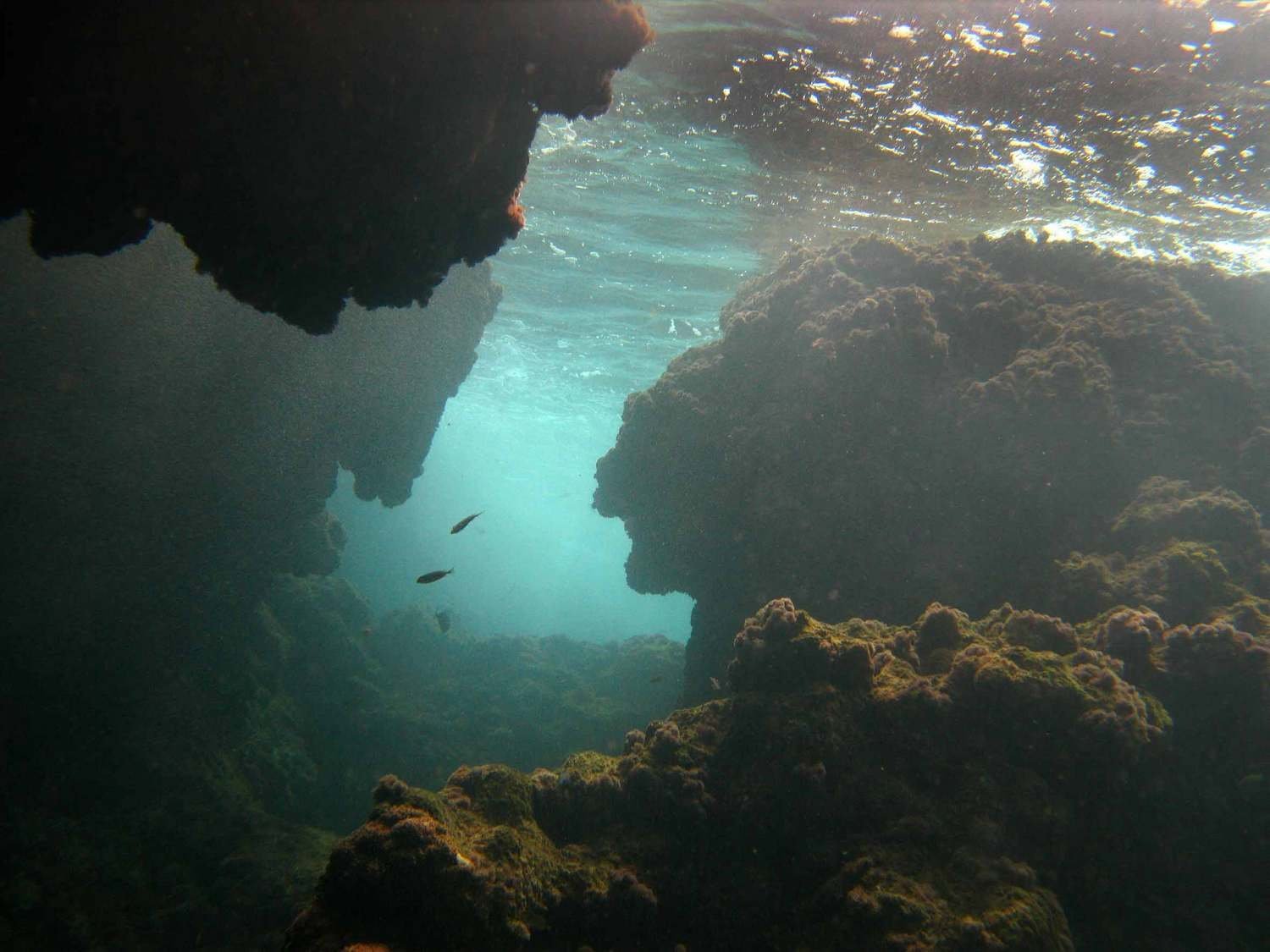 Подводные реки. Подводная река в чёрном море. Средиземное море под водой. Подводный ландшафт. Ландшафт дна Средиземного моря.