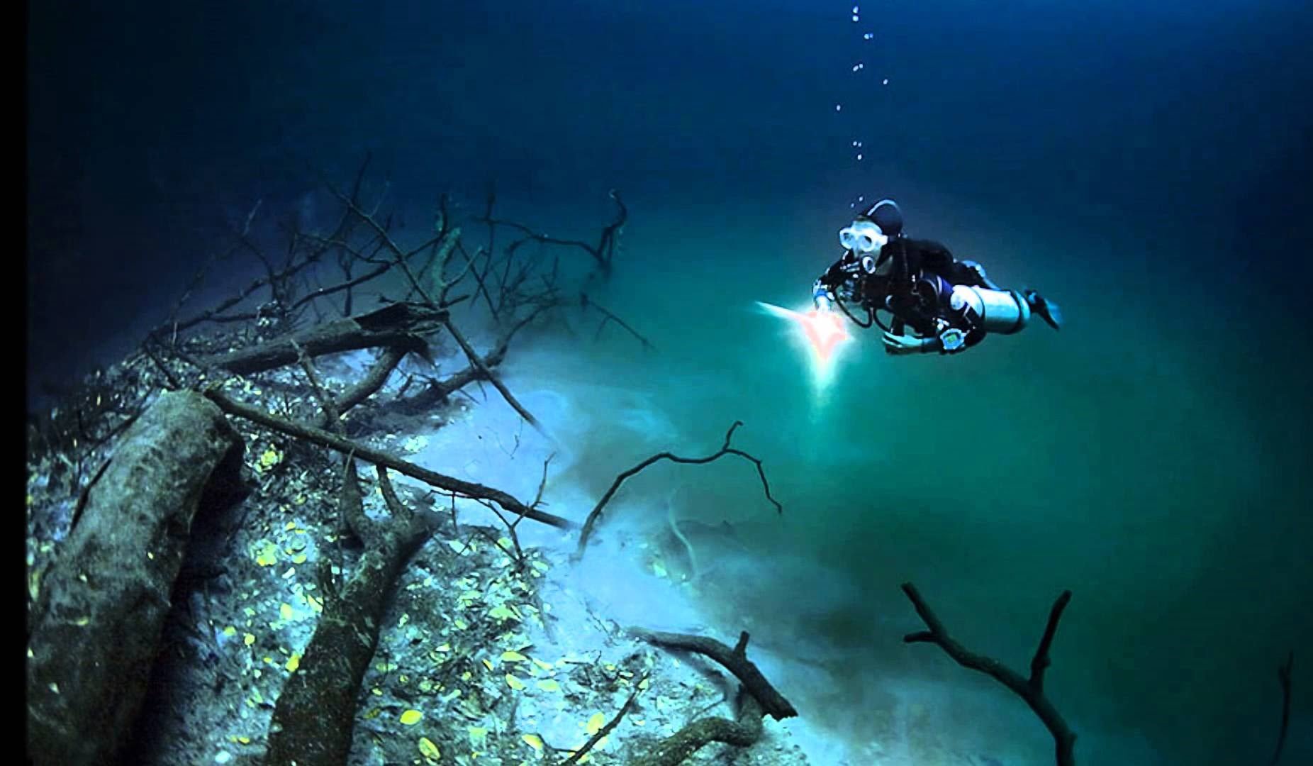 черное море подводные