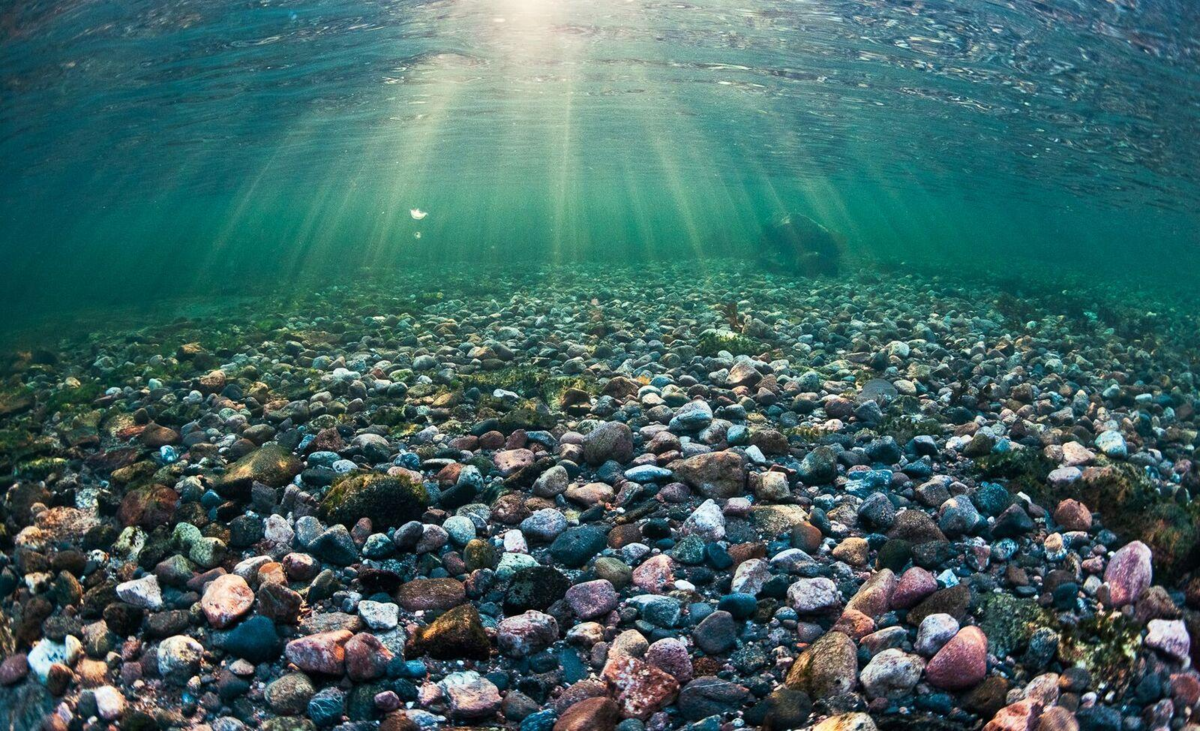 Подводные камни на работе. Подводный мир Каспийского моря.