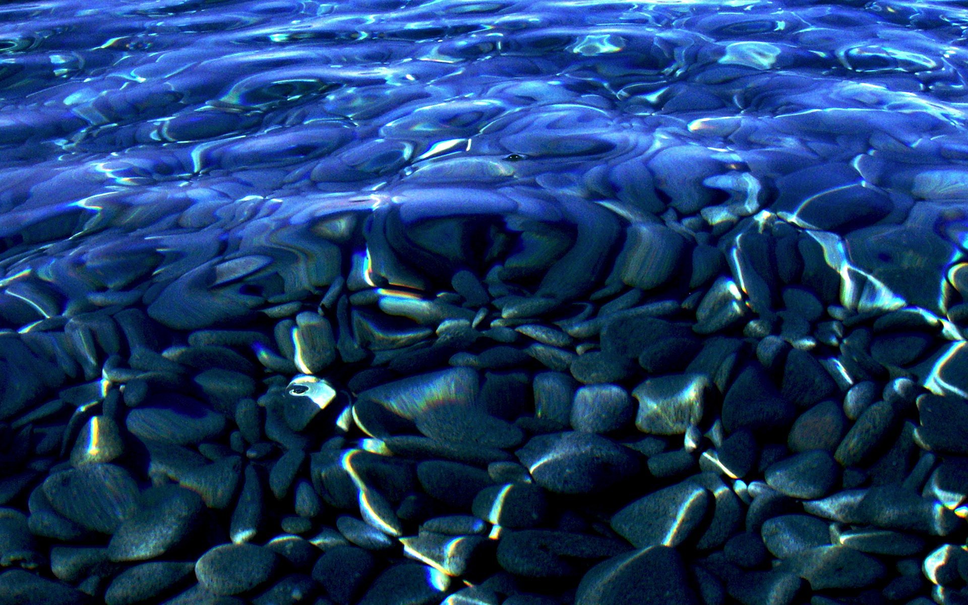 Камни вода рыбы. Морское дно. Дно моря. Камни под водой. Галька в воде.