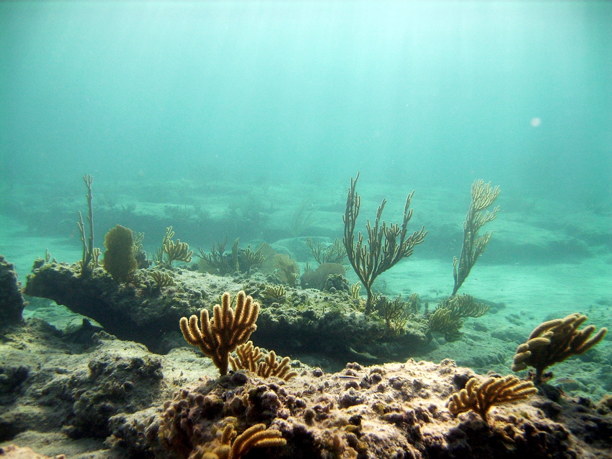 подводные реки черного моря