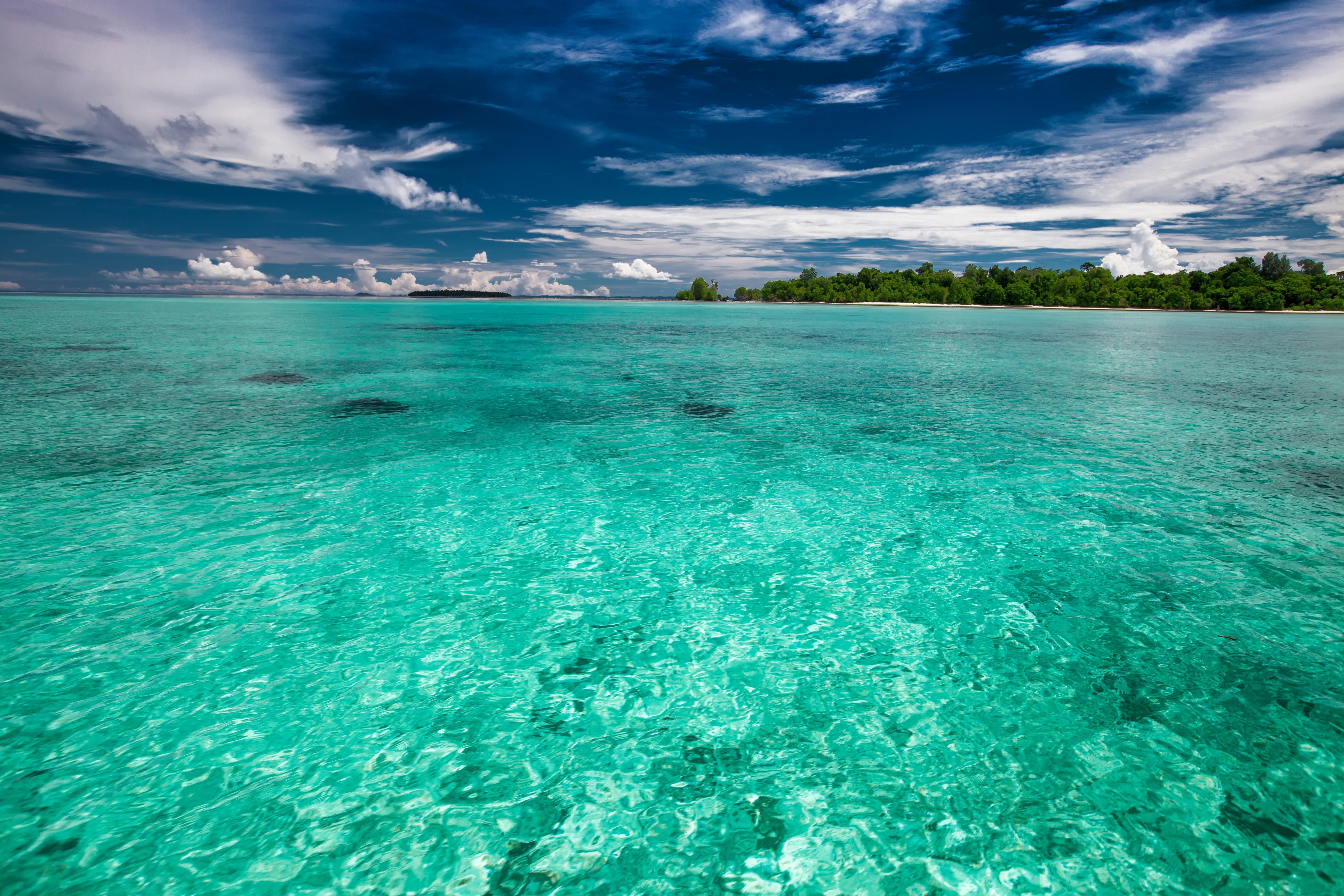 Island вода. Морская Лагуна цвет. Карибское море голубая Лагуна. Прозрачное море. Бирюзовое море.