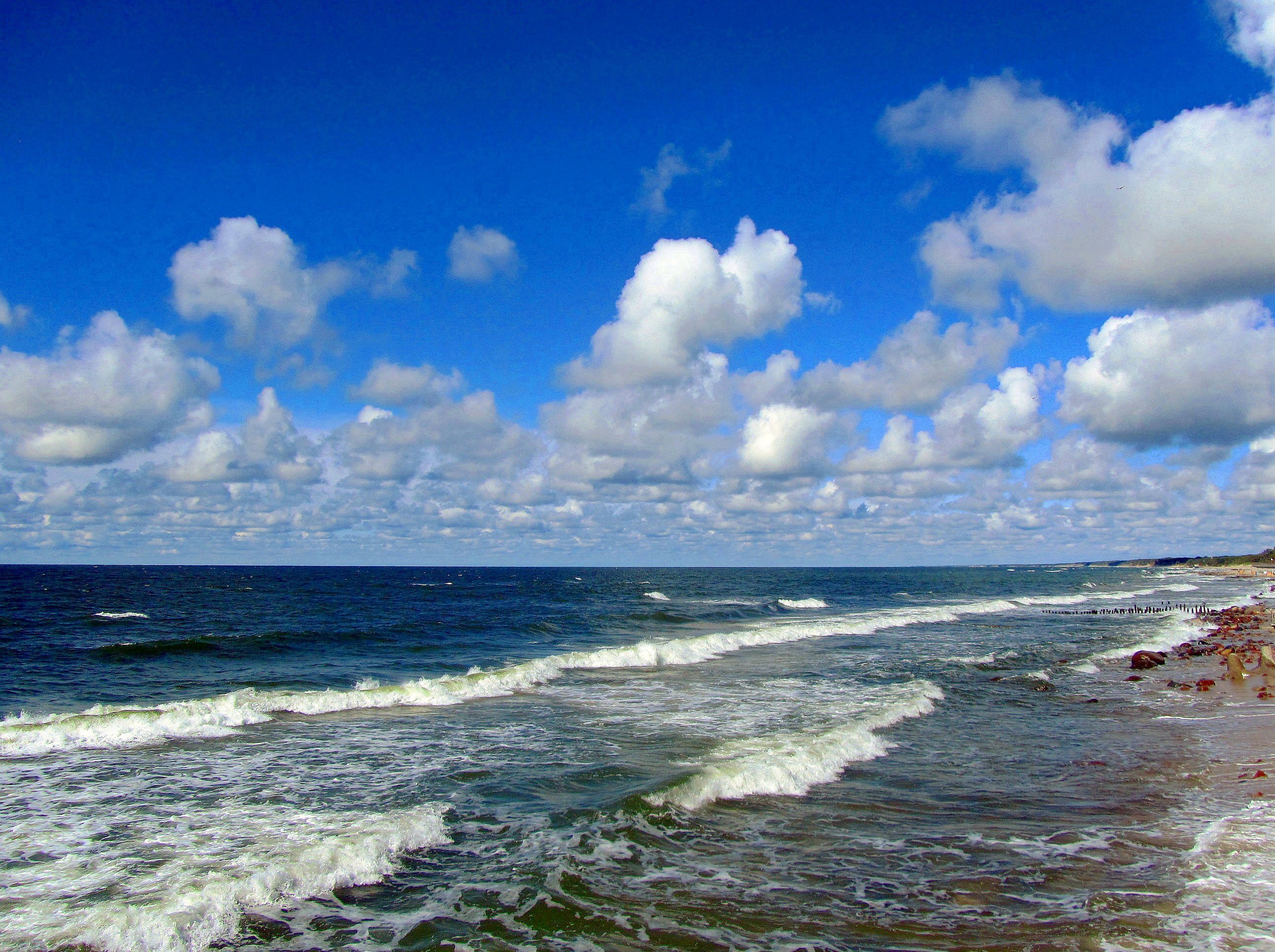 Балтийский берег морская. Балтийское море Зеленоградск. Балтийское побережье,Балтика,. Берег Балтийского моря в Калининграде. Калининград море Балтийское море.