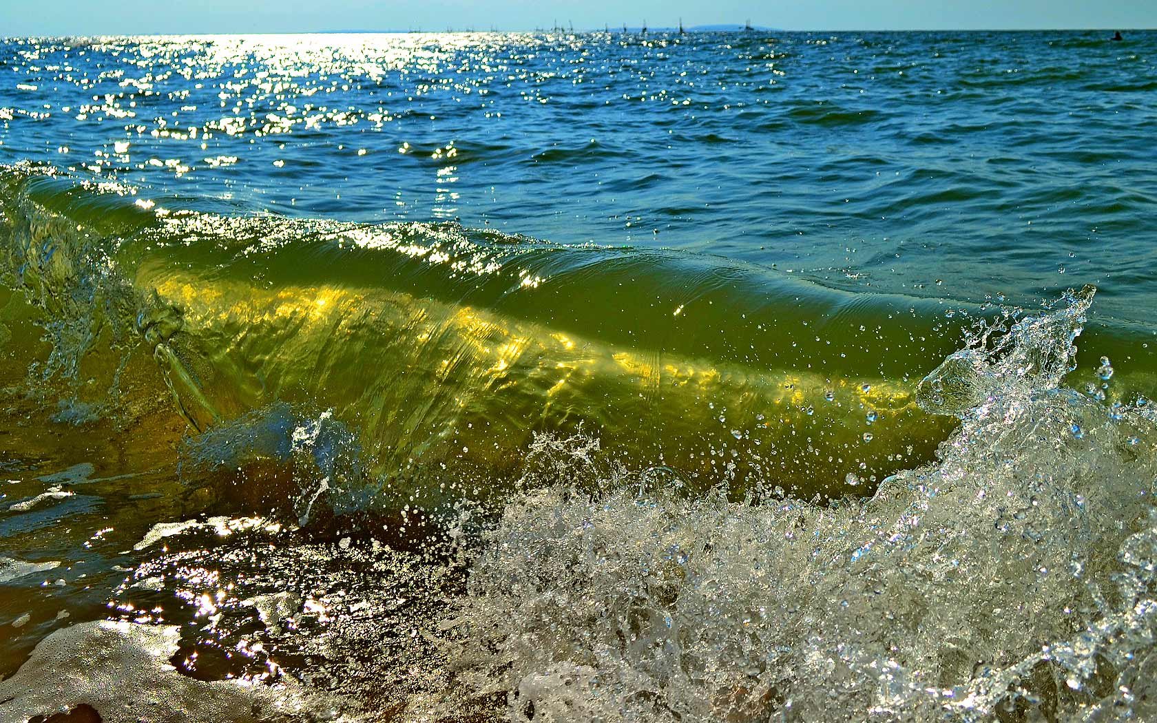 Азовское море внутреннее. Азовское море. Азовское море Азов. Азовское море природа. Цвет Азовского моря.