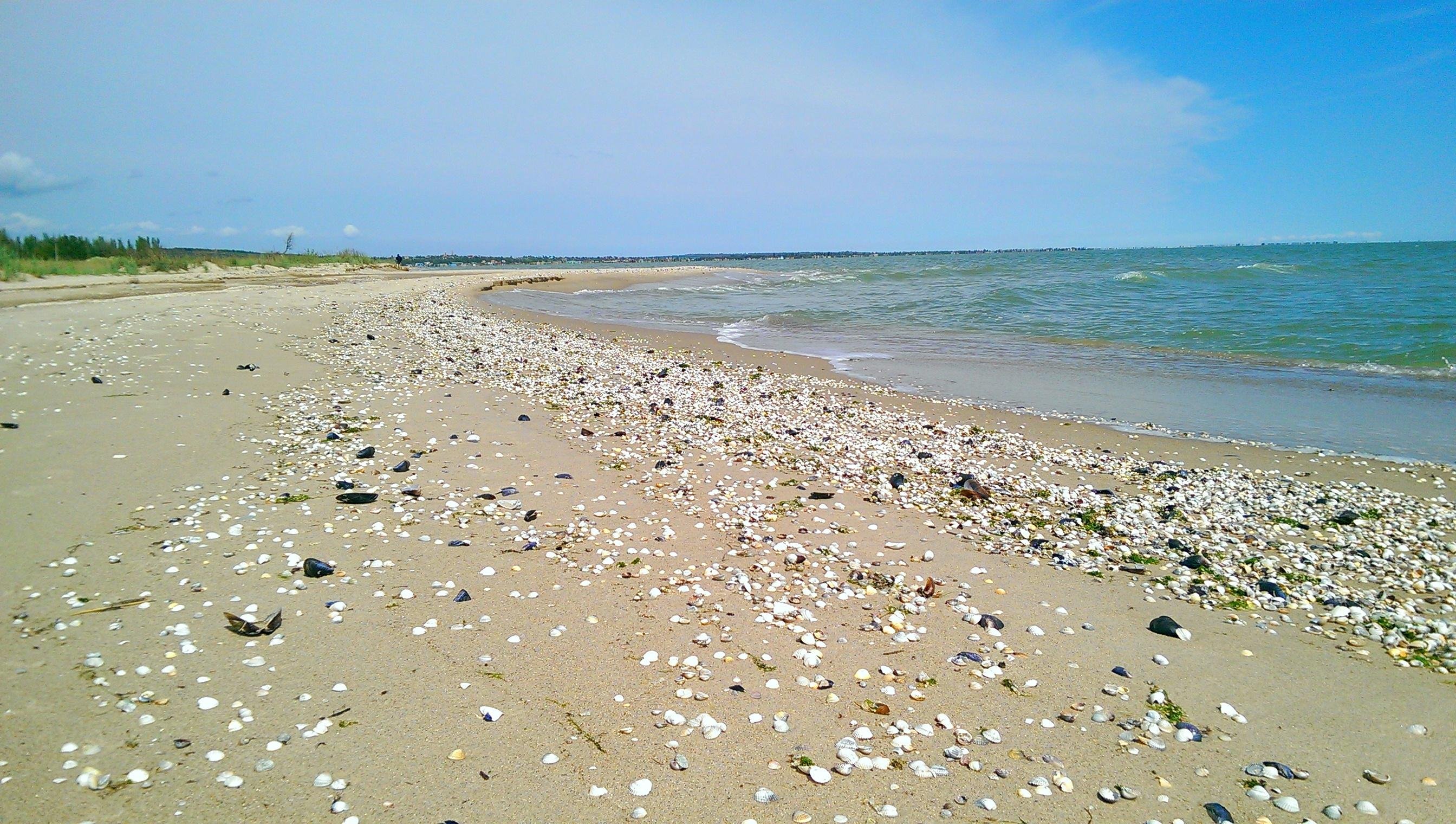 Азовское море фото воды в море