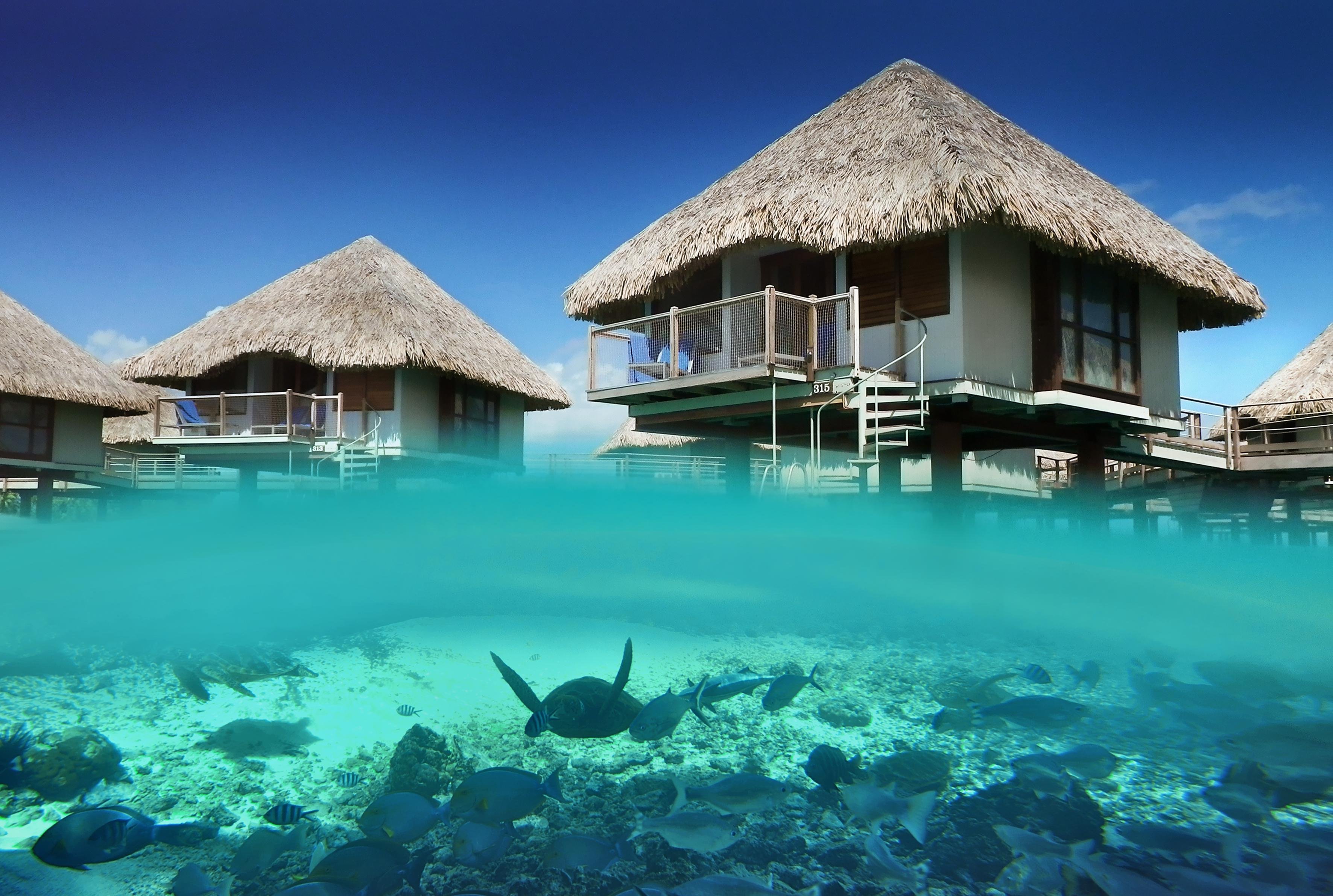 Фото красивого острова. Боро Боро. Бора-Бора французская Полинезия. Бунгало на острове Бора Бора. Бунгало на Мальдивах.