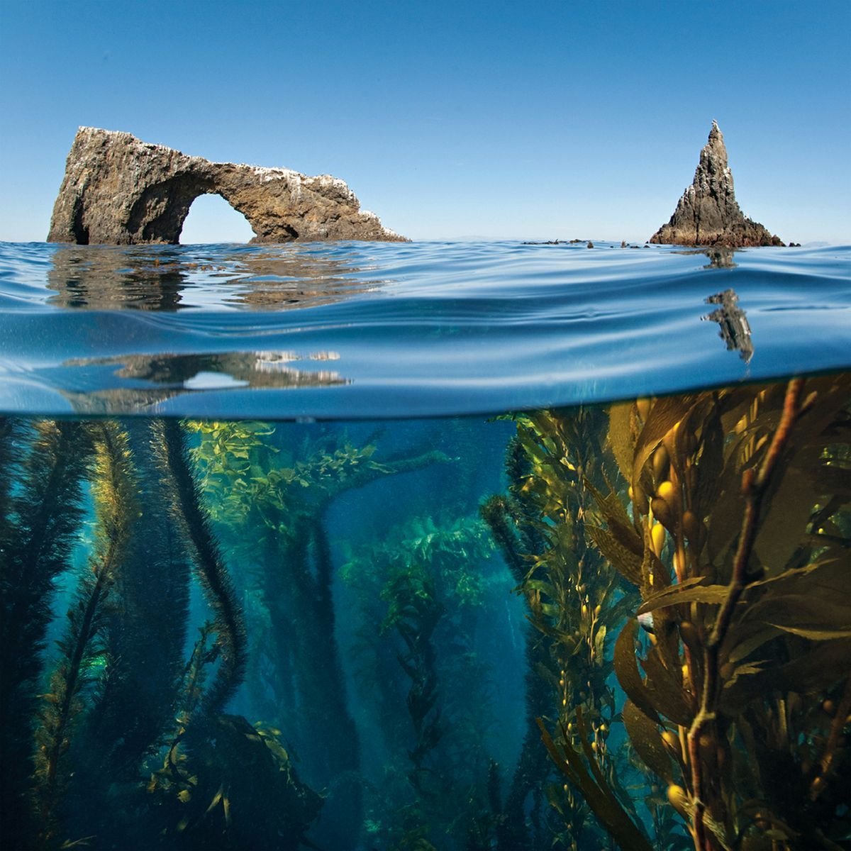 Панорама под водой