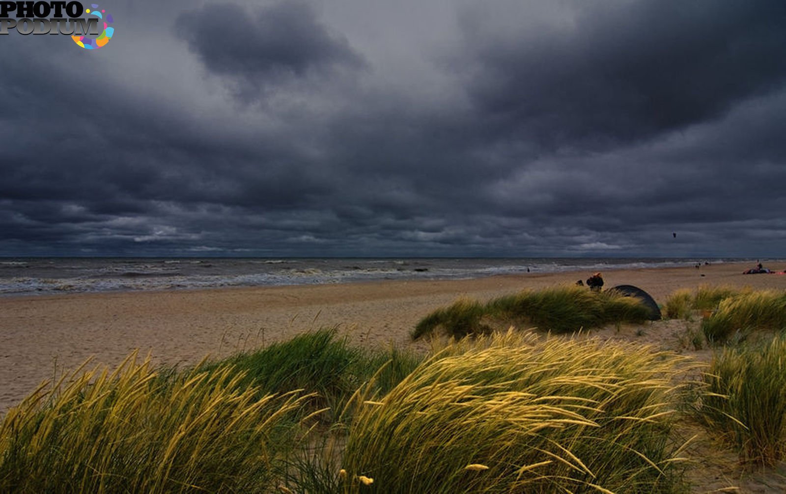 Ветер взморья. Хмурое Балтийское море. Живопись дюны Куршская коса. Куршская коса пасмурно. Балтика дюны гроза.