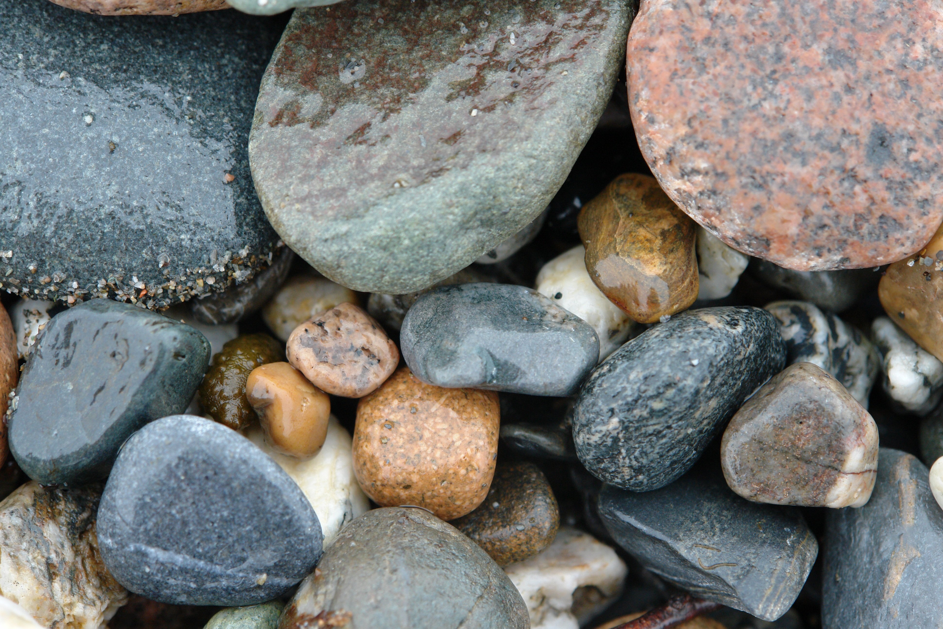 Галька виды. Нефрит галечник. Морские камни. Красивые камушки. Камни морская галька.