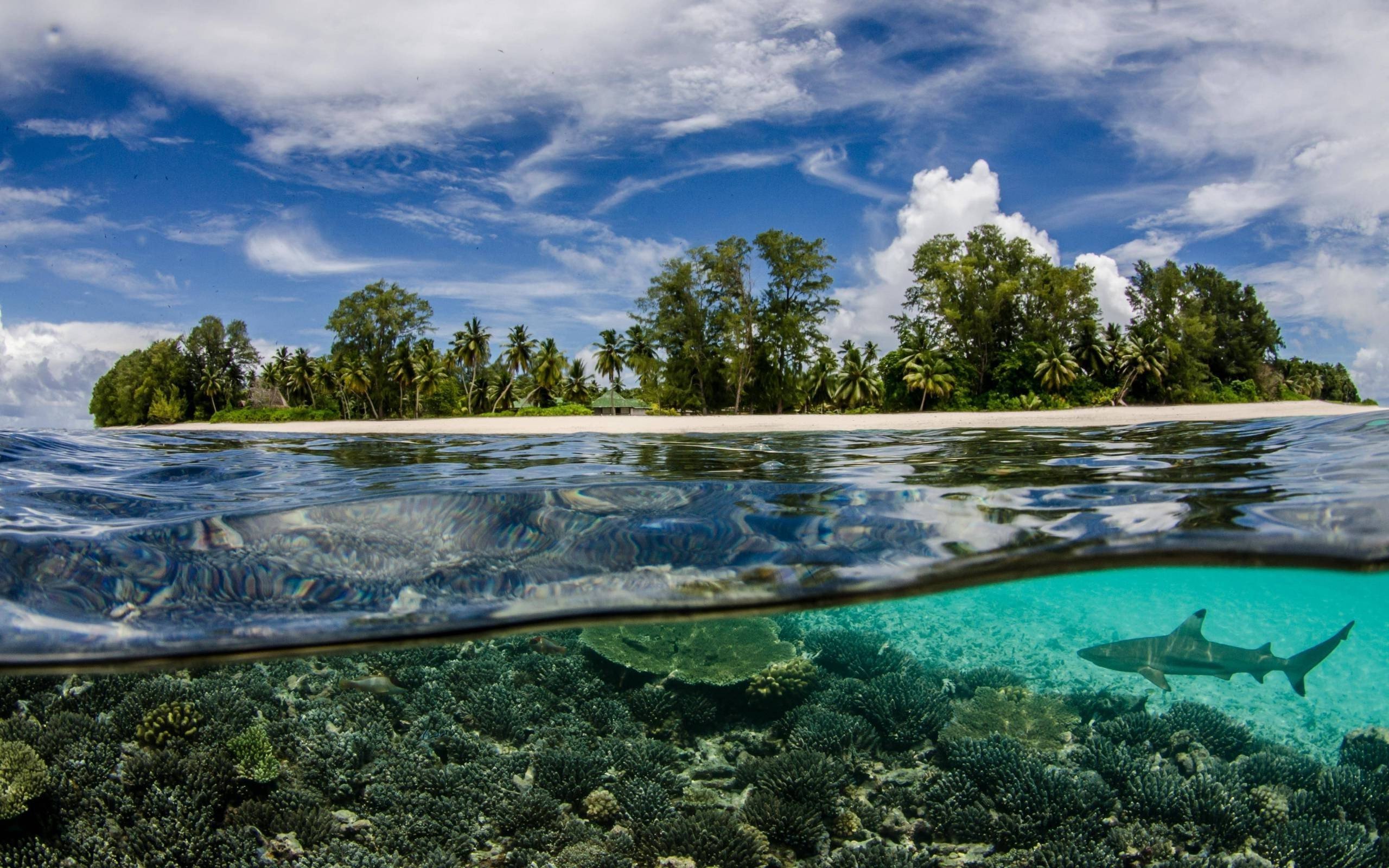 Водный мир озера. Бирюзовая Лагуна Мальдивы. Морской заповедник Саут-Уотер-Кей,. Прозрачное море. Прозрачная вода.