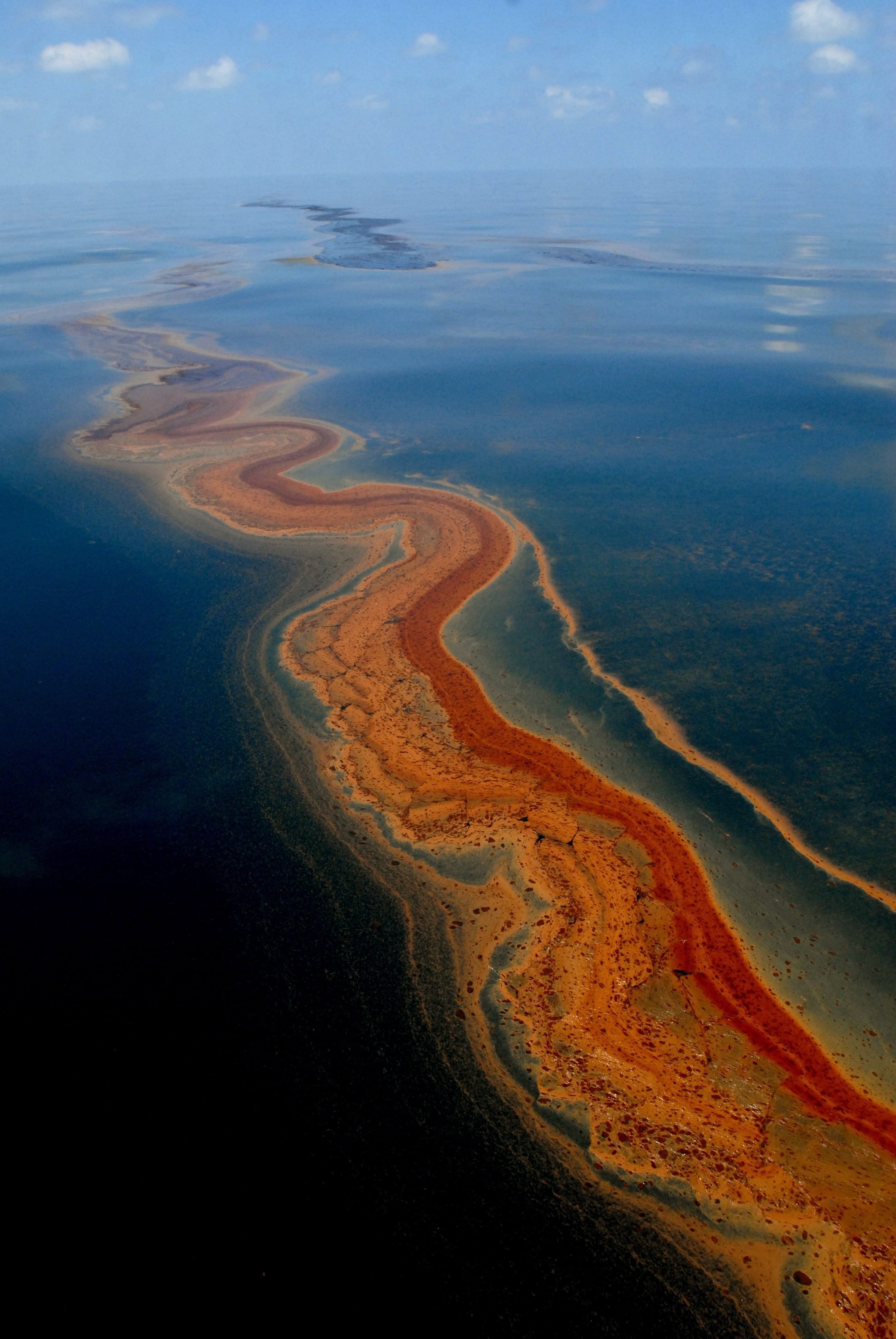 Разлив нефти в мексиканском заливе