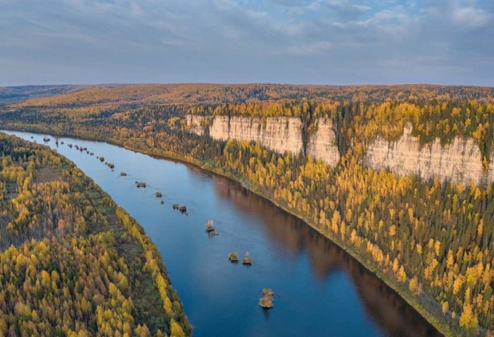 Лес на реке Вишера Пермского края