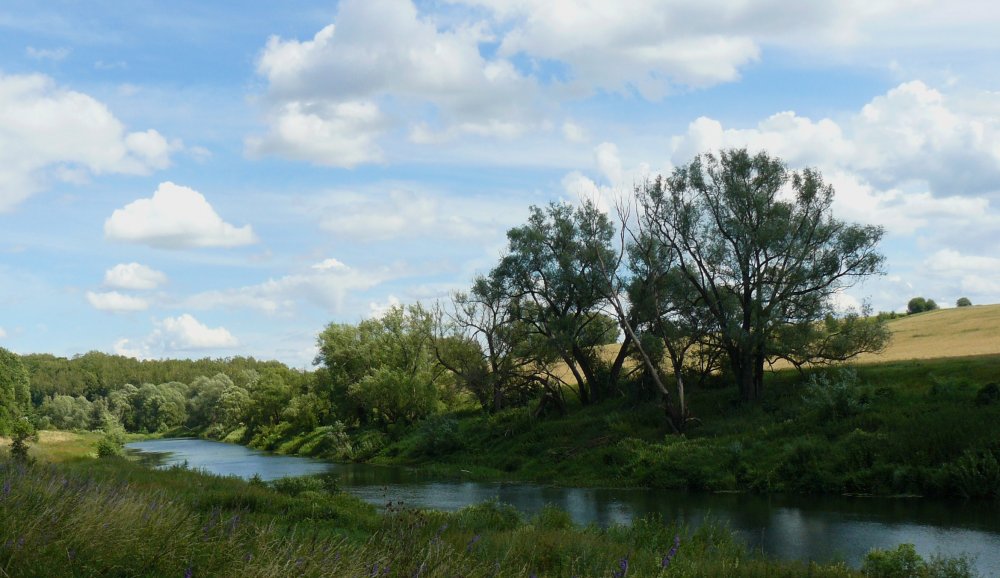 Река осетр Зарайск (70 фото) - 70 фото