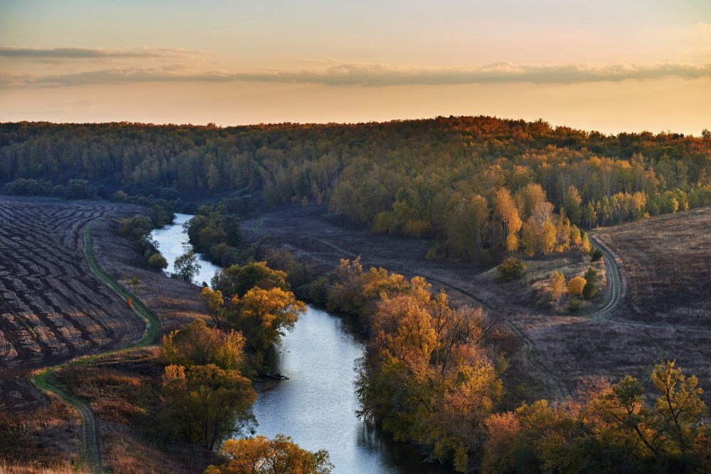 Река осетр Зарайск (70 фото) - 70 фото