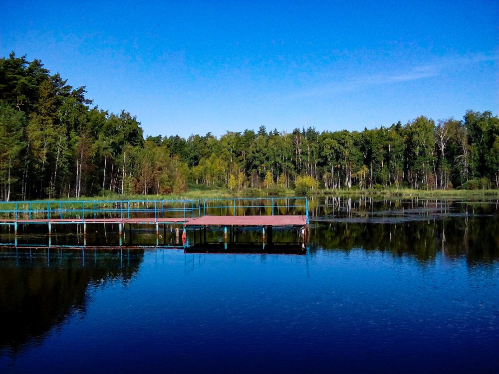 Черное озеро Щелковский район (66 фото) - 66 фото