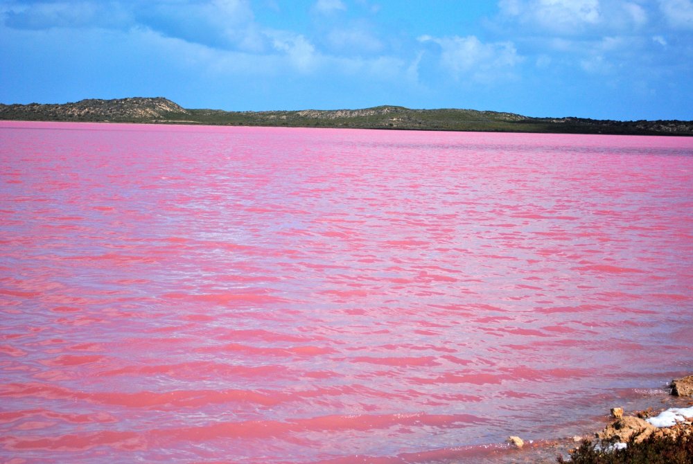 Озеро Хиллер, Западная Австралия