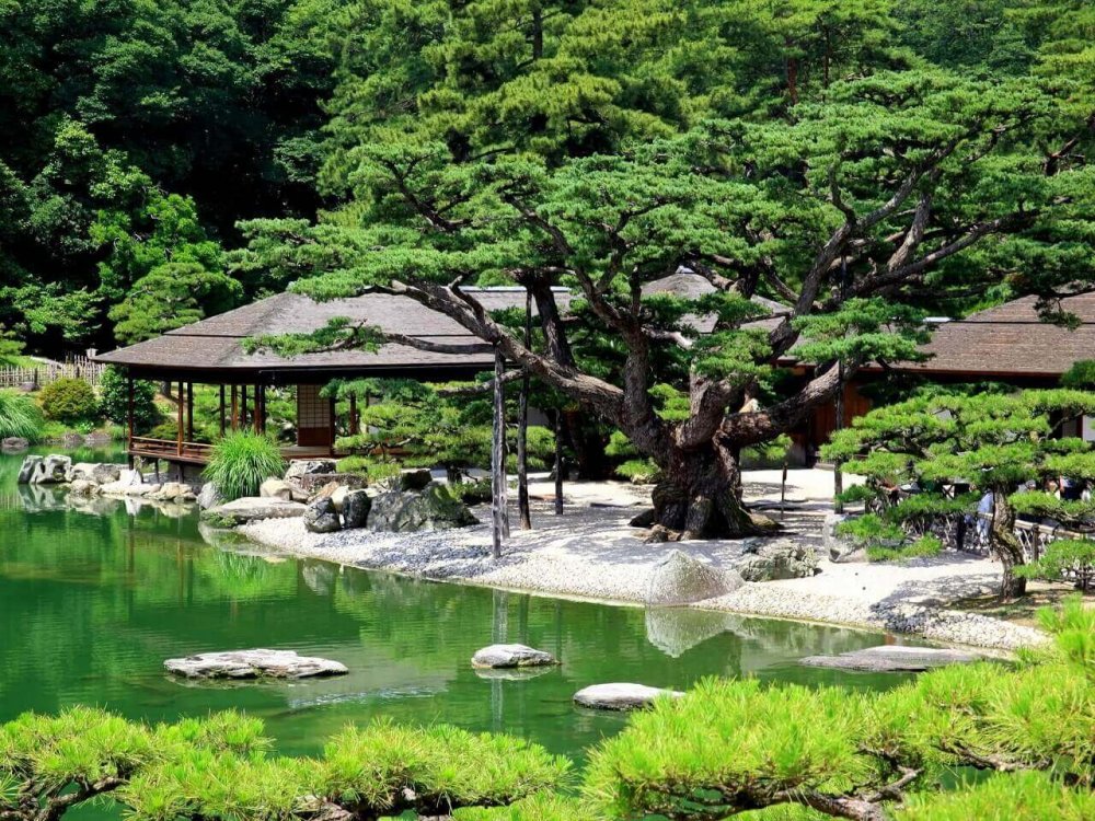 Сад Рикугиэн Токио Япония