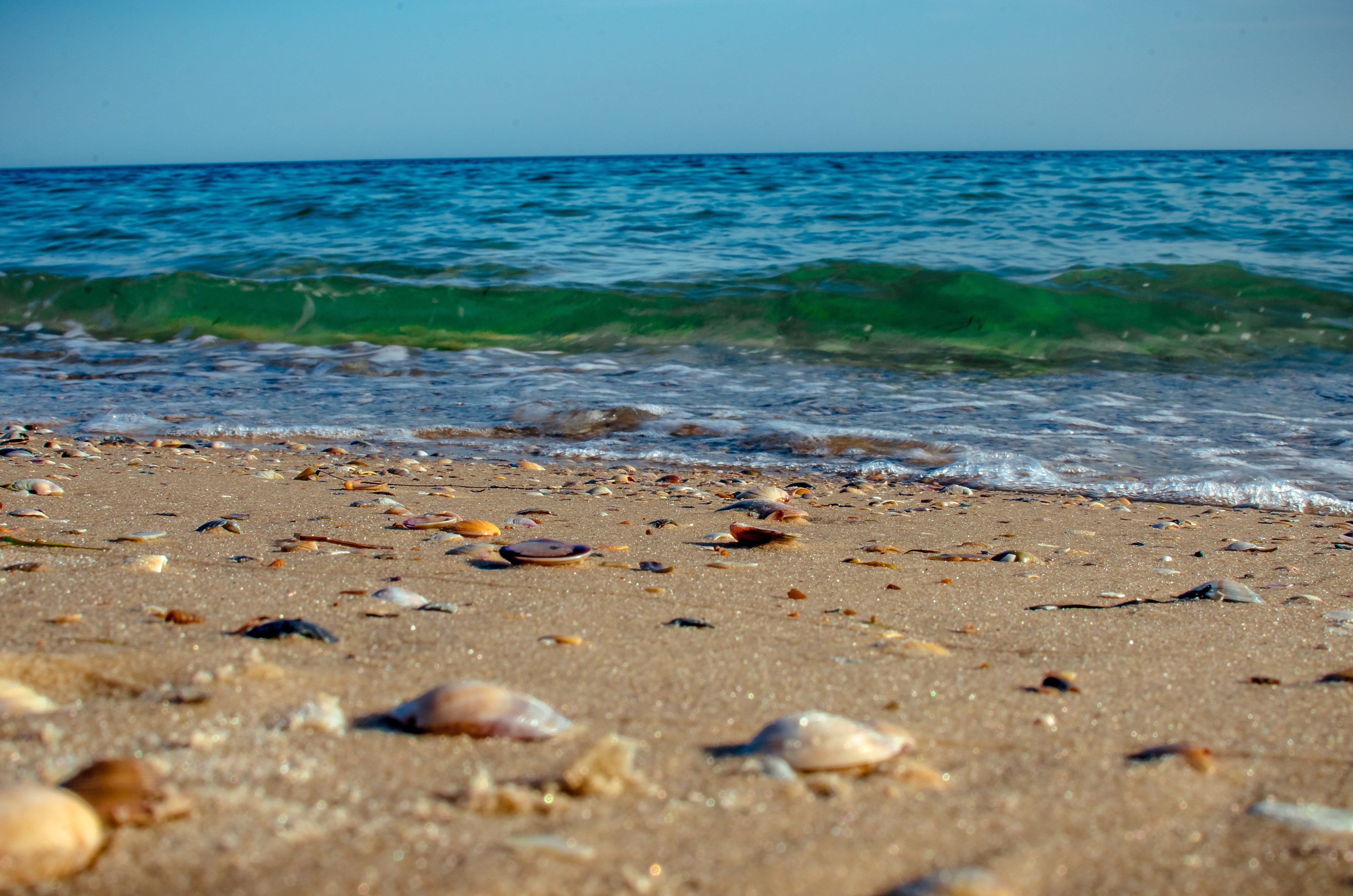 Пляжи черного моря для детей