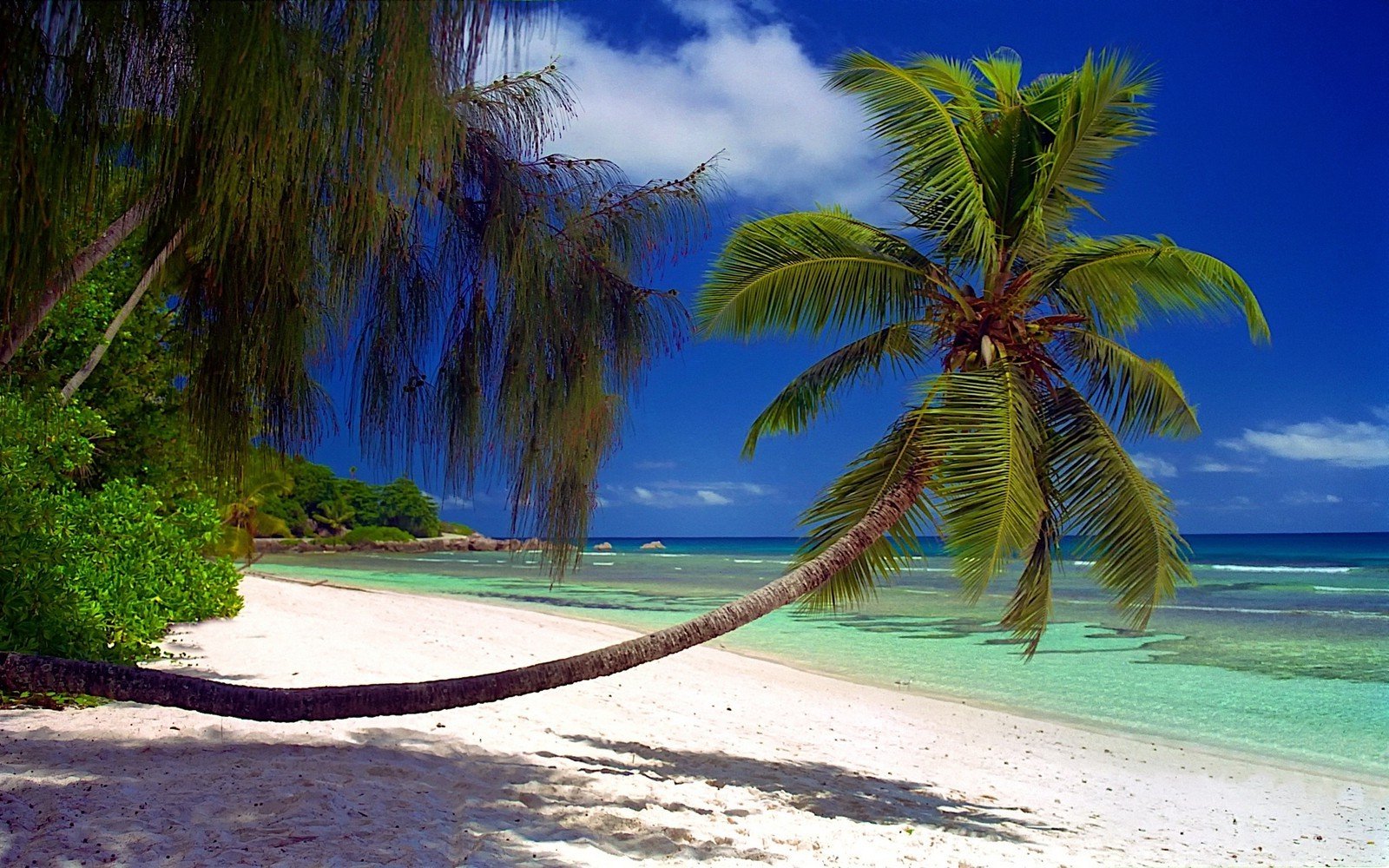 Море пальмы белый песок
