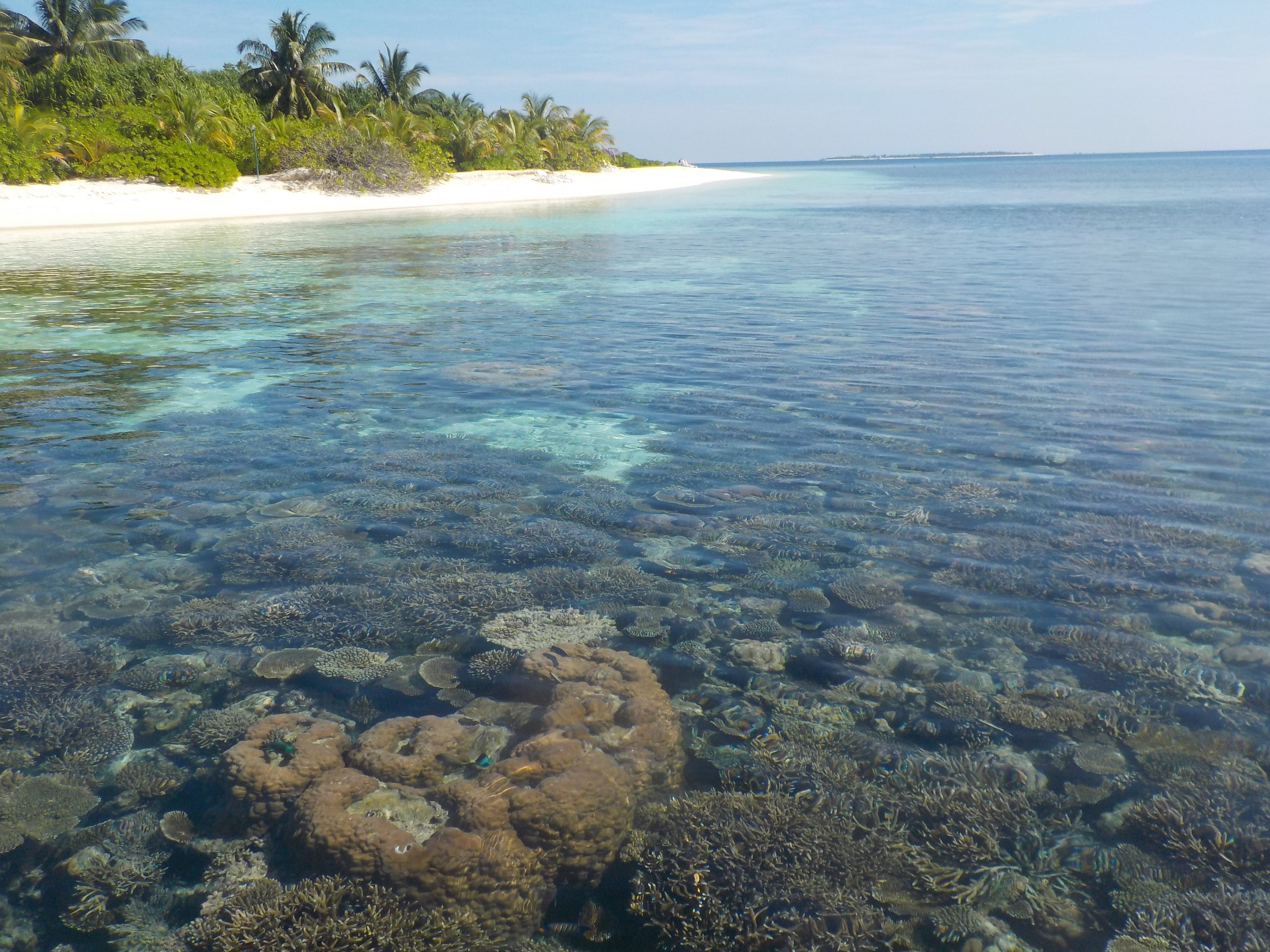 Индийский океан какая вода. Мальдивы Лагуна риф. Остров риф (Reef Island). Барьерный риф Мальдивы. Мальдивы коралловые острова.