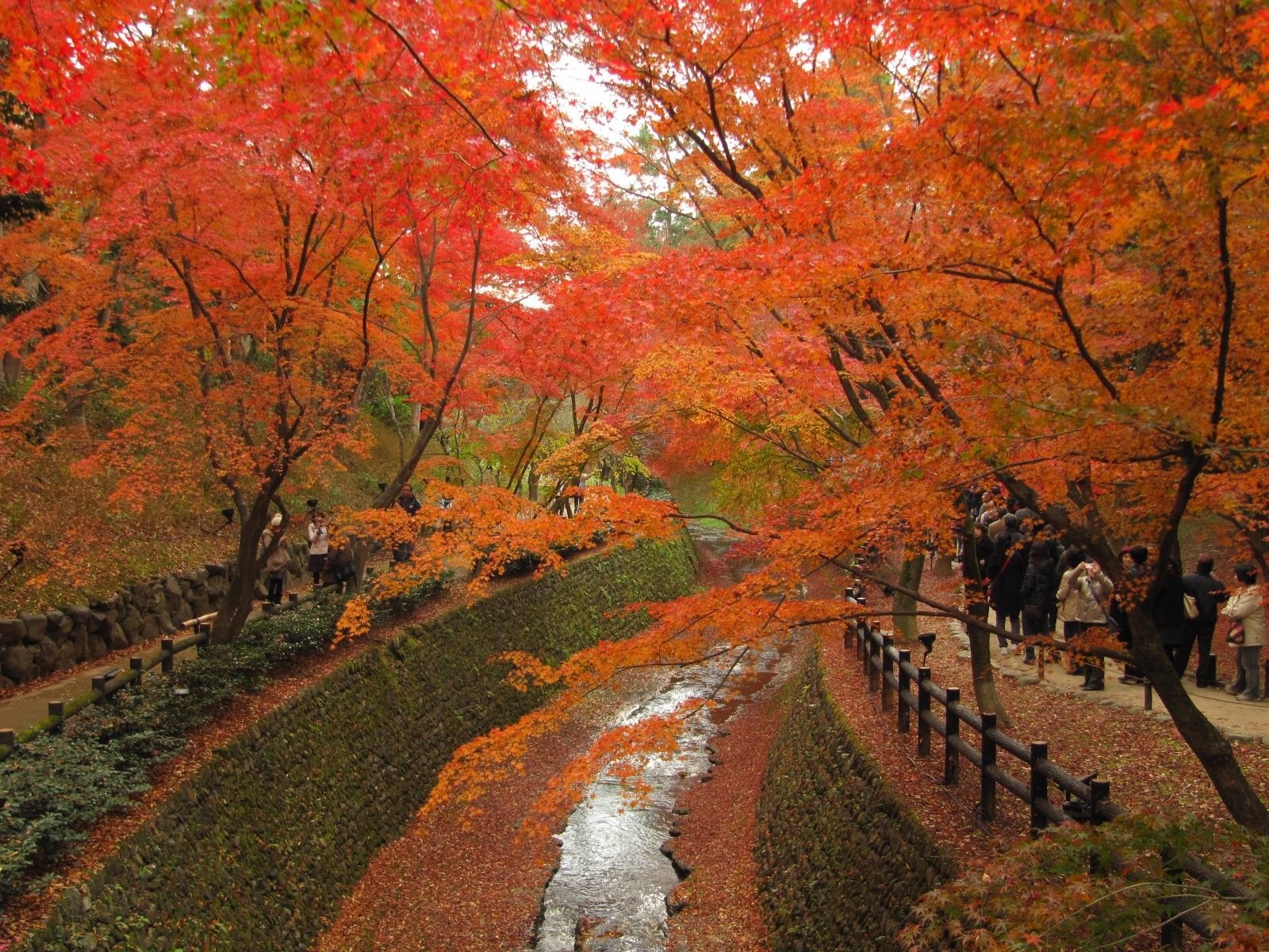 Fall definition. Осень в Японии. Поздняя осень в Японии. Климат Японии осень. Золотая осень в Японии.