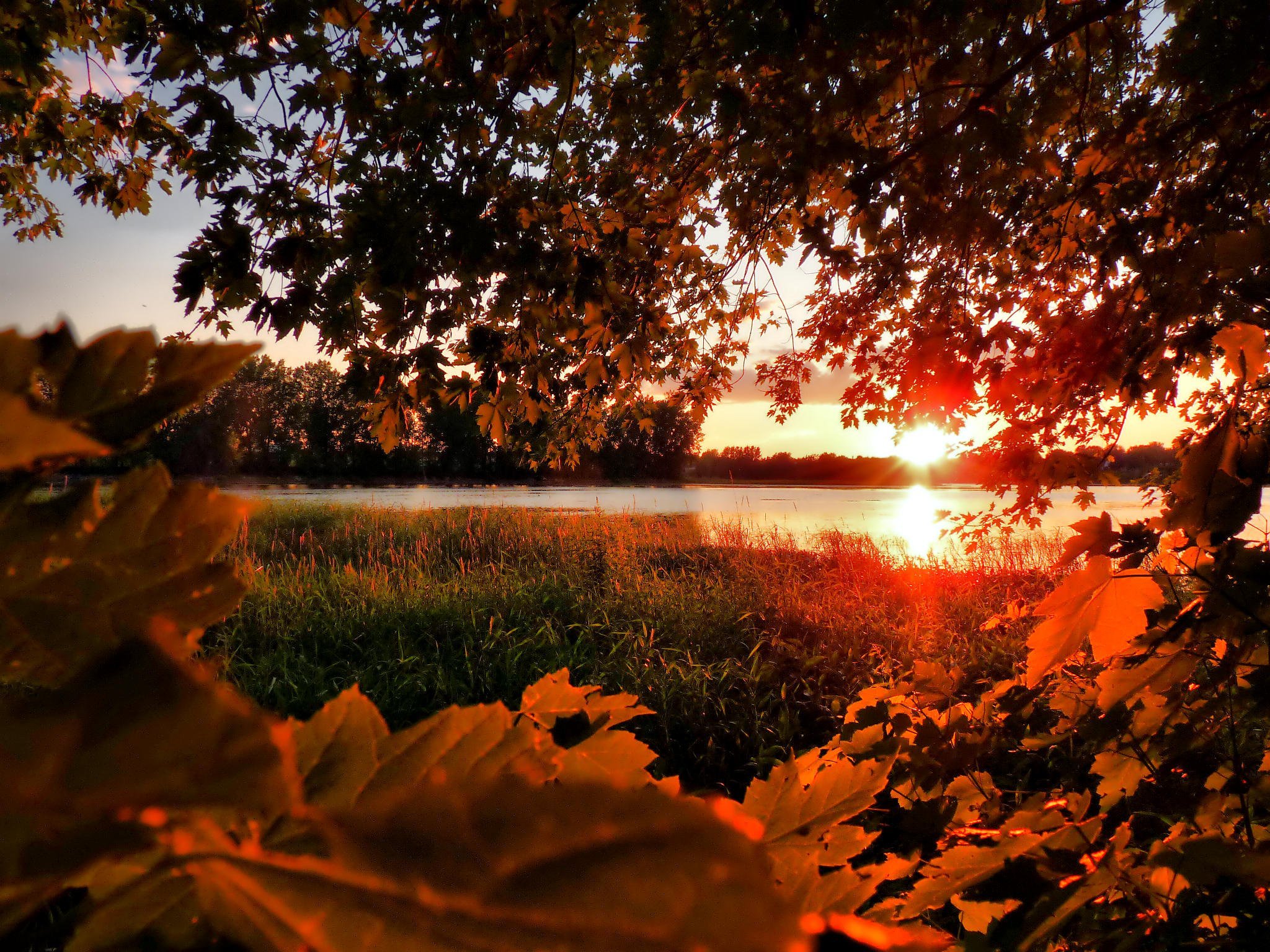 Осенний вечер октября. Природа осень. Осенний вечер. Осенняя ночь. Природа вечер.