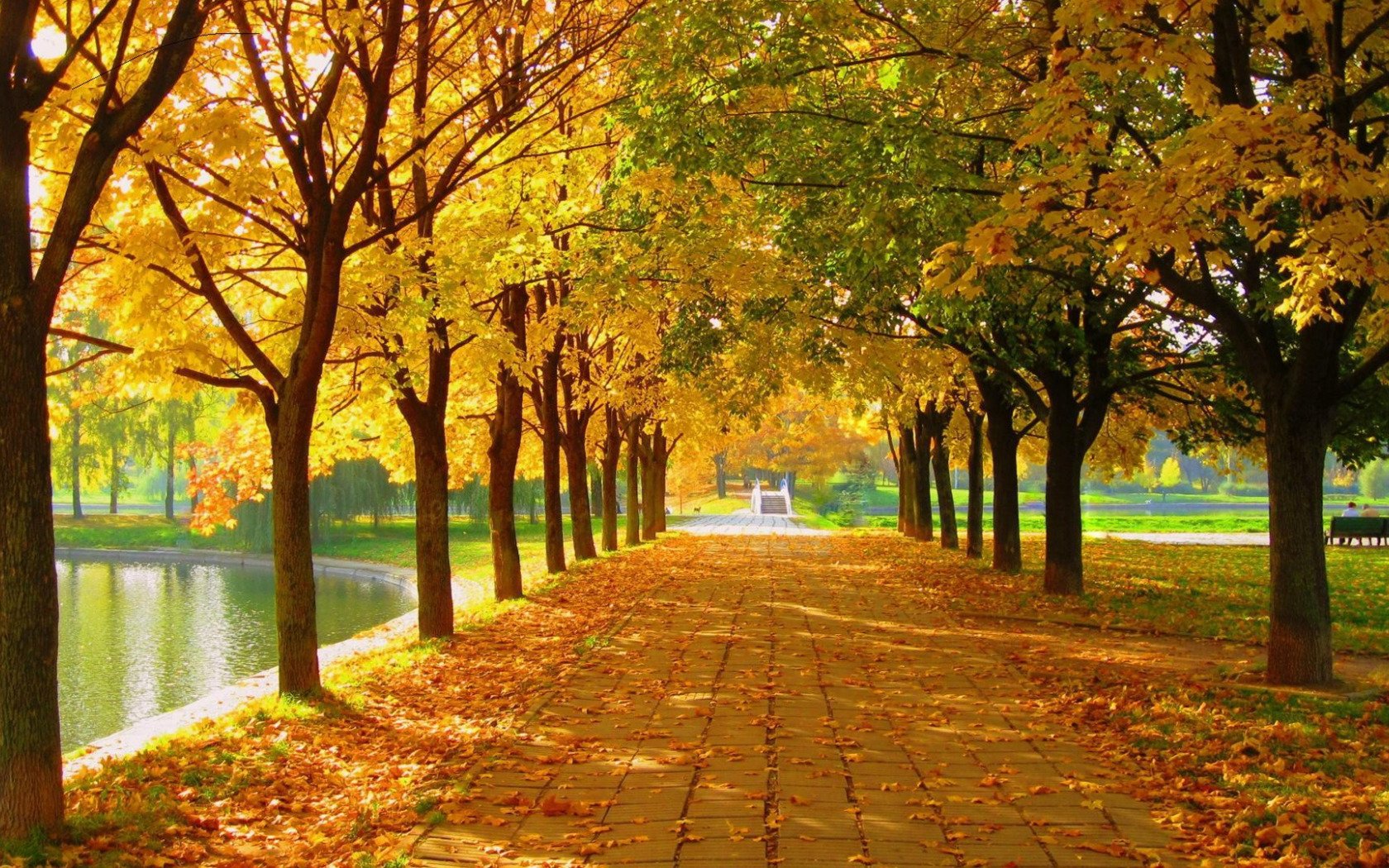 Сайты куз. Болдино Липовая аллея. Липовая аллея в Болдино осенью. Осенняя аллея. Осень парк аллея.