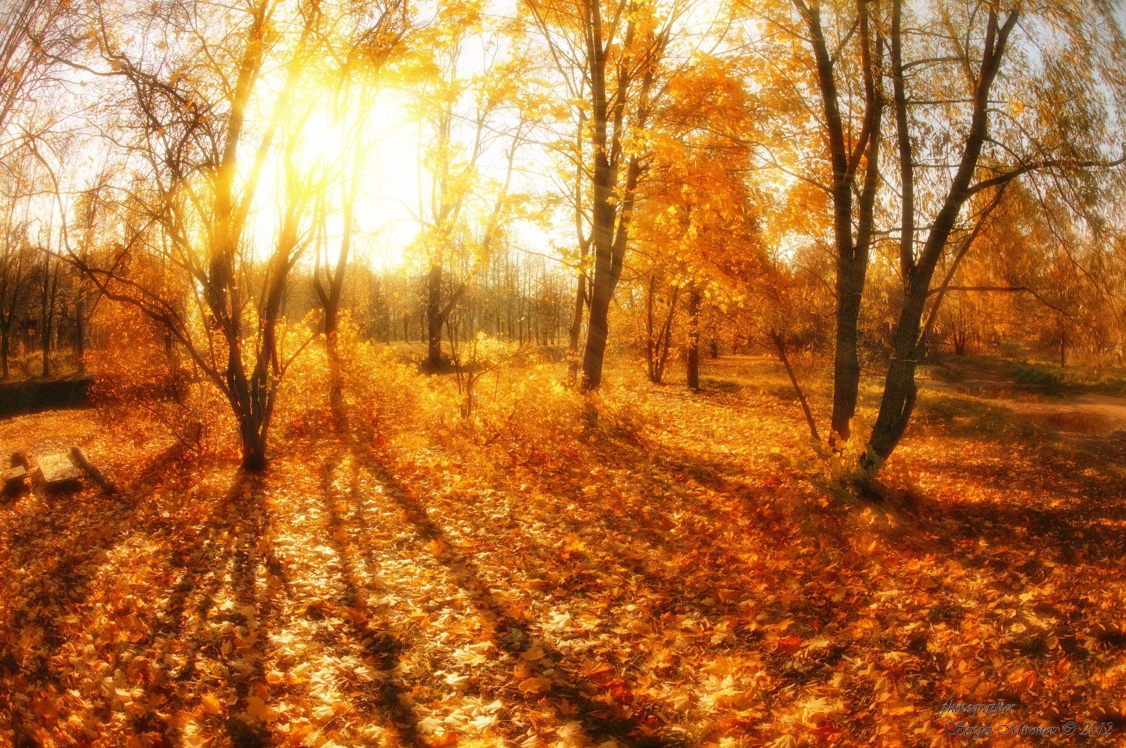 Осенний день картинки. Солнечная осень. Осеннее солнце. Осень солнце. Солнце осенью.