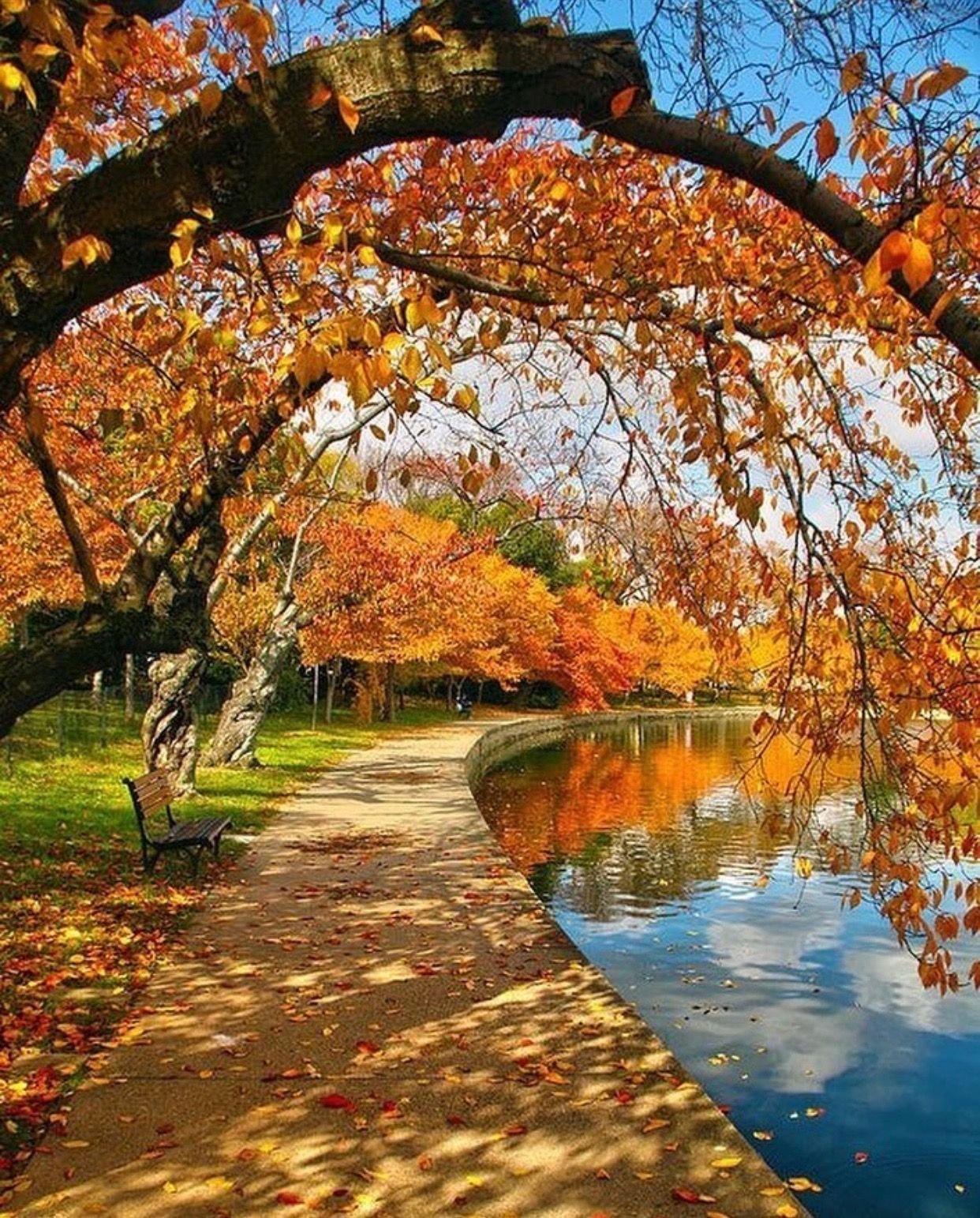 Хороший осени картинка. Красивая осень. Природа осень. Природа осенью. Асёл красивый.