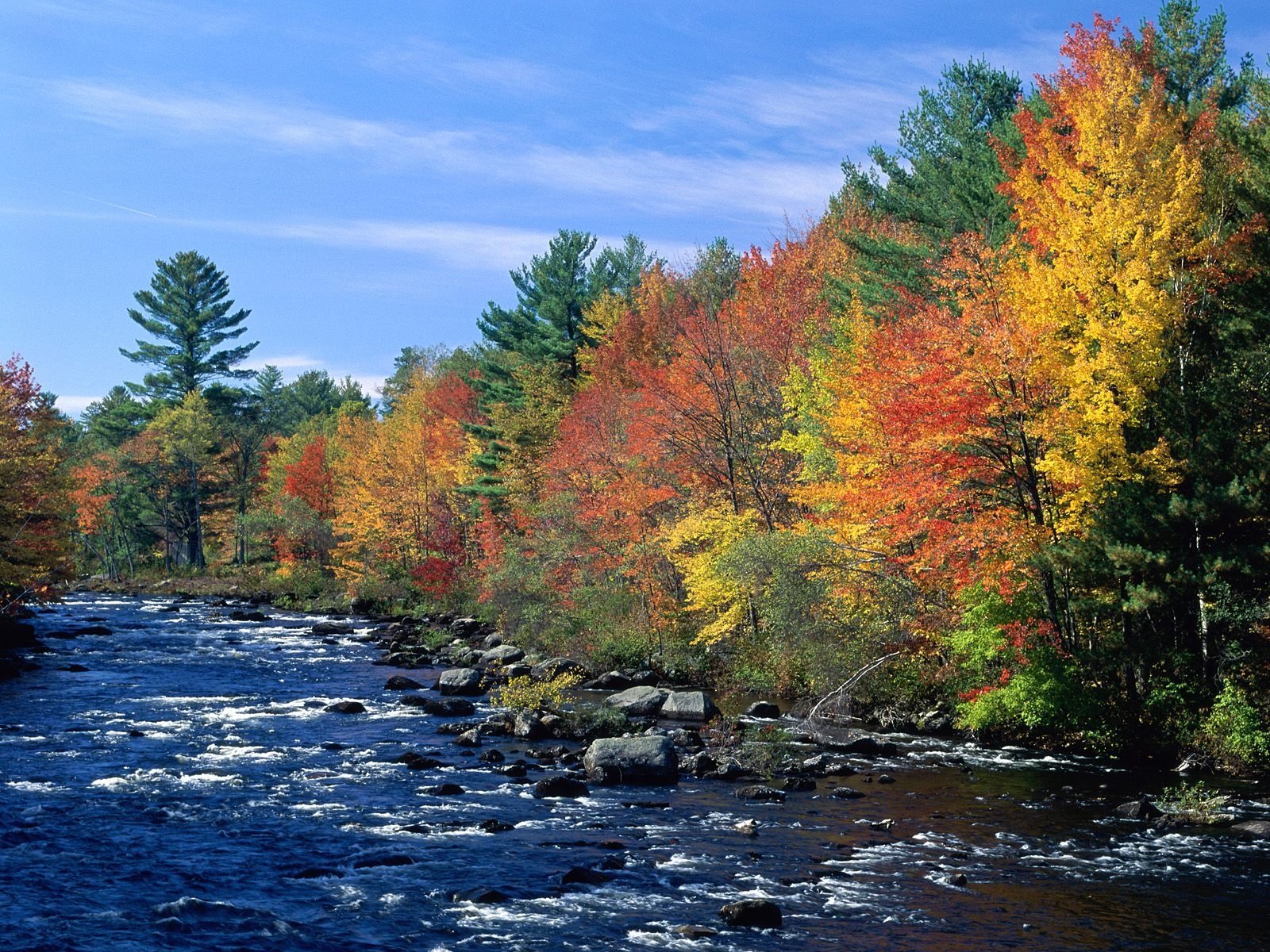 Fall scenes. Золотая осень природа река. Река Тулва осень. Осенняя река. Река осенью.