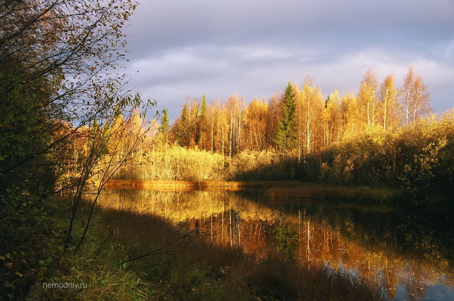 Золотая осень в Карелии