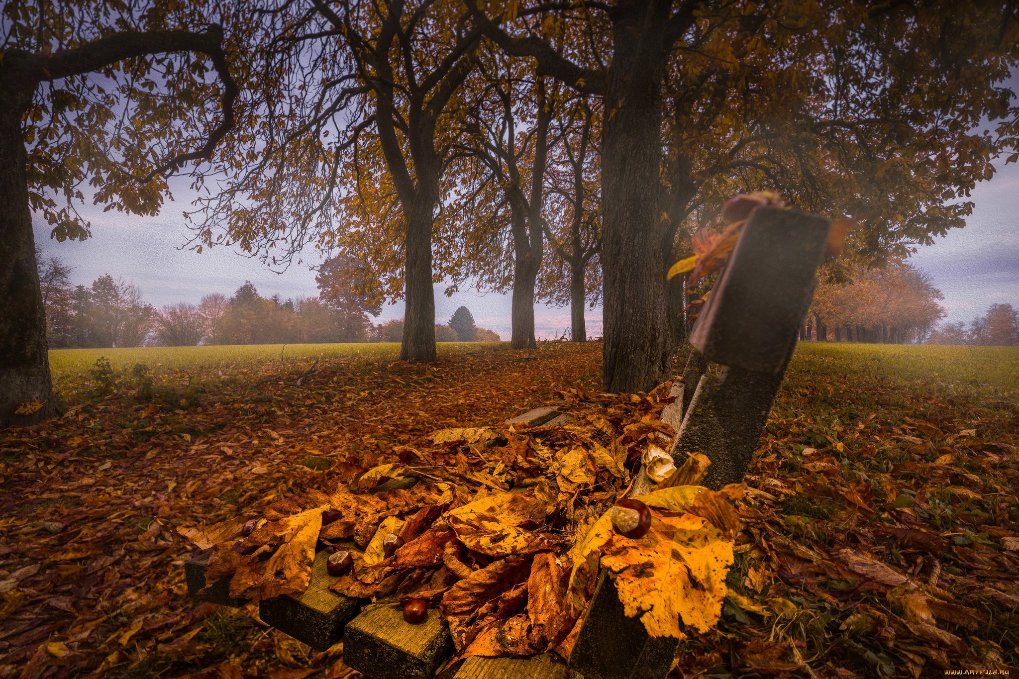 Голод осень. Маркес опавшая листва. Осенняя грусть. Опавшие листья. Лист под дерево.