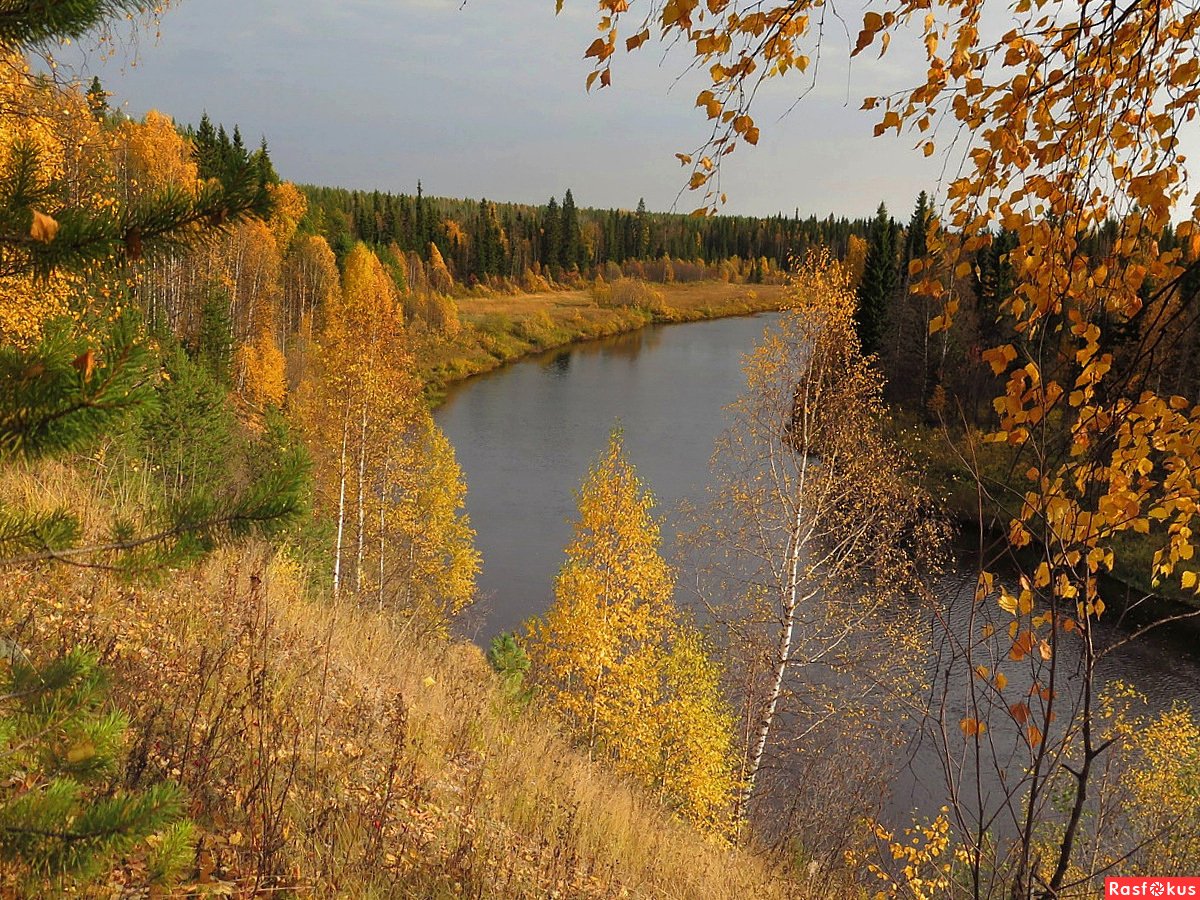 Река дали. Река Печора осень Республика Коми. Седью Республика Коми. Река Печора осень. Седьюские скалы Ухта.