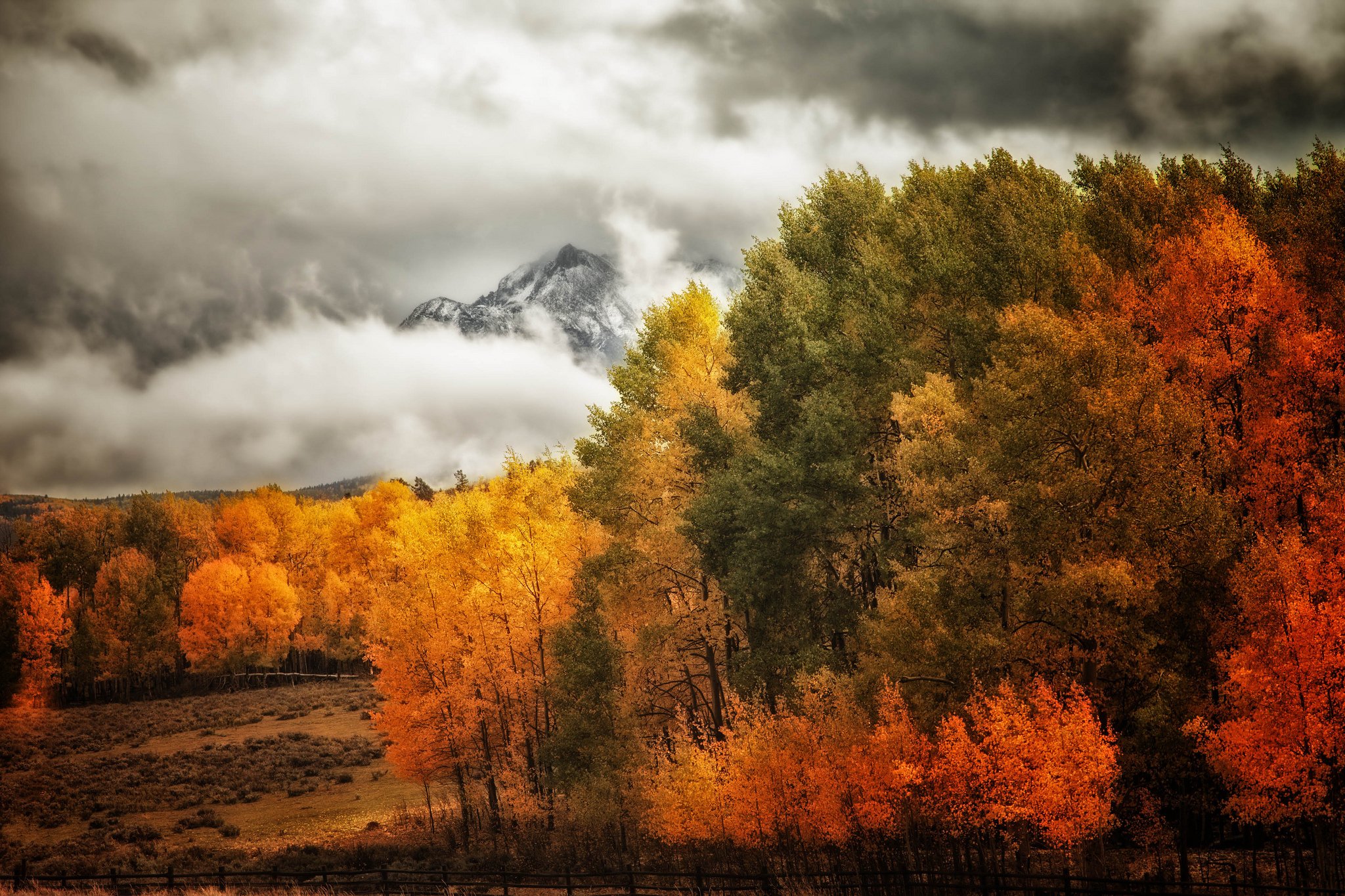 Natural fall. Осень в лесу. Осенний пейзаж. Осенний лес. Хмурая осень.