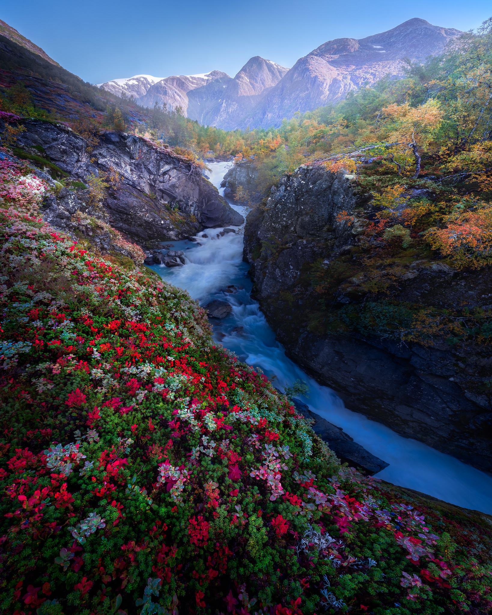 Фото фотки. Фьорды Норвегии осенью. Красивая природа. Красивые виды природы. Красивый вид.