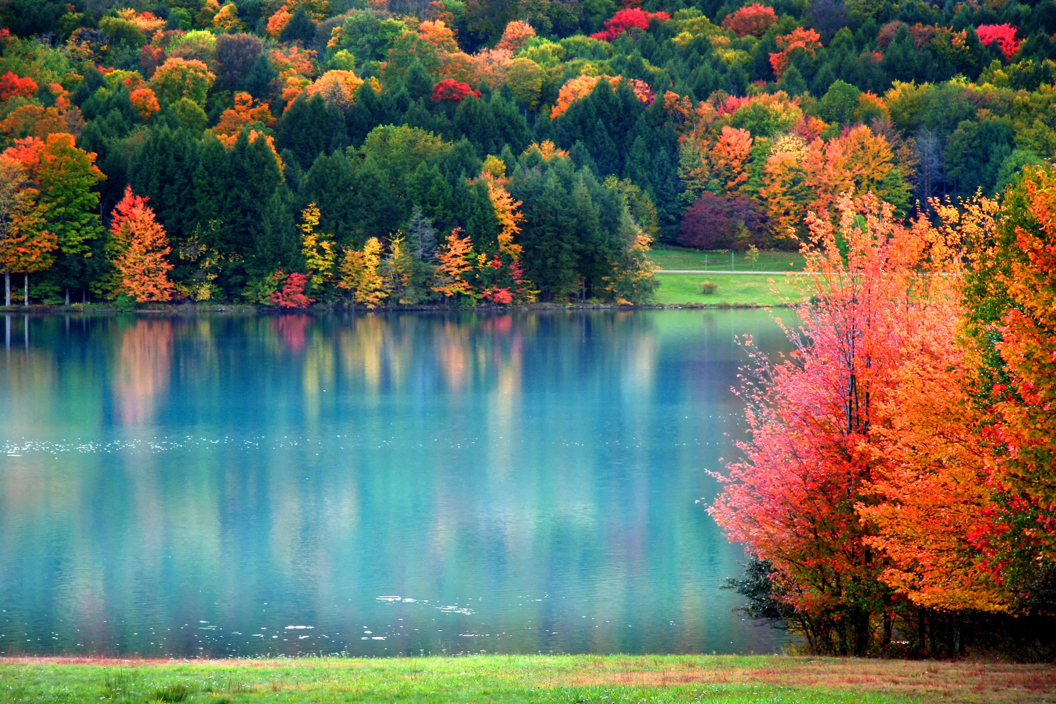 Невероятная осень. Золотое озеро Пенсильвания. Красивая осень. Природа осень. Красота осени.