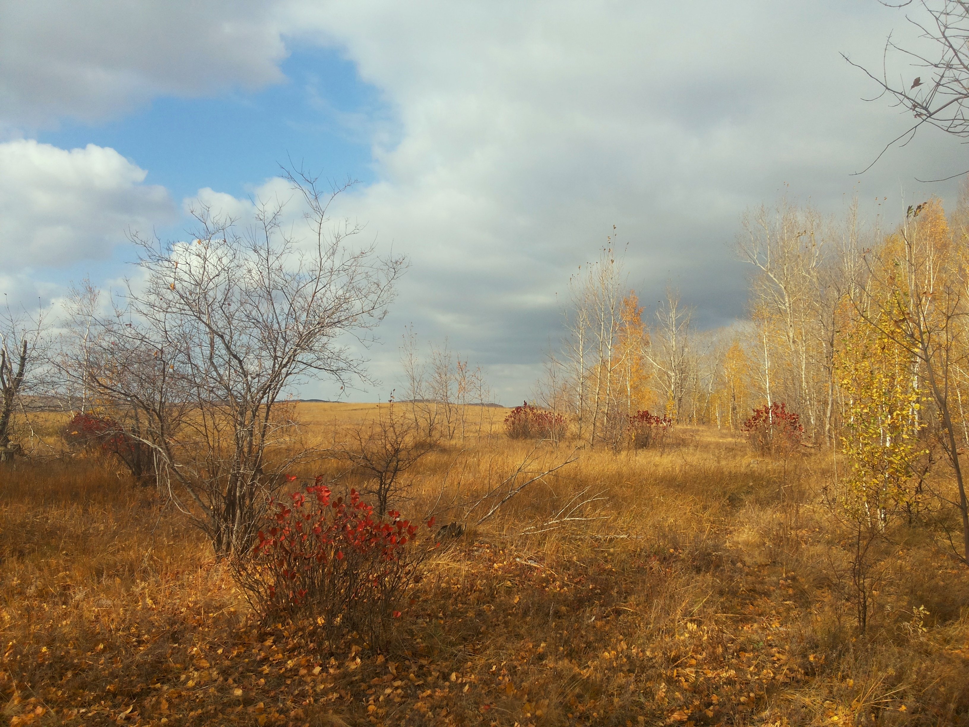 Небо в ноябре. Поздняя осень. Поздняя осень в деревне. Поздняя осень небо. Небо поздней осенью.