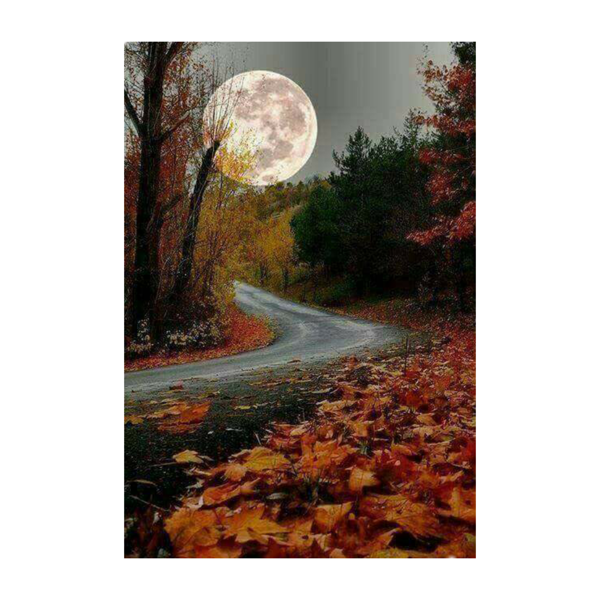 Бывают осенние ночи. Природа осень. Осенний лунный пейзаж. Осенняя ночь Луна. Осень фото красивые.