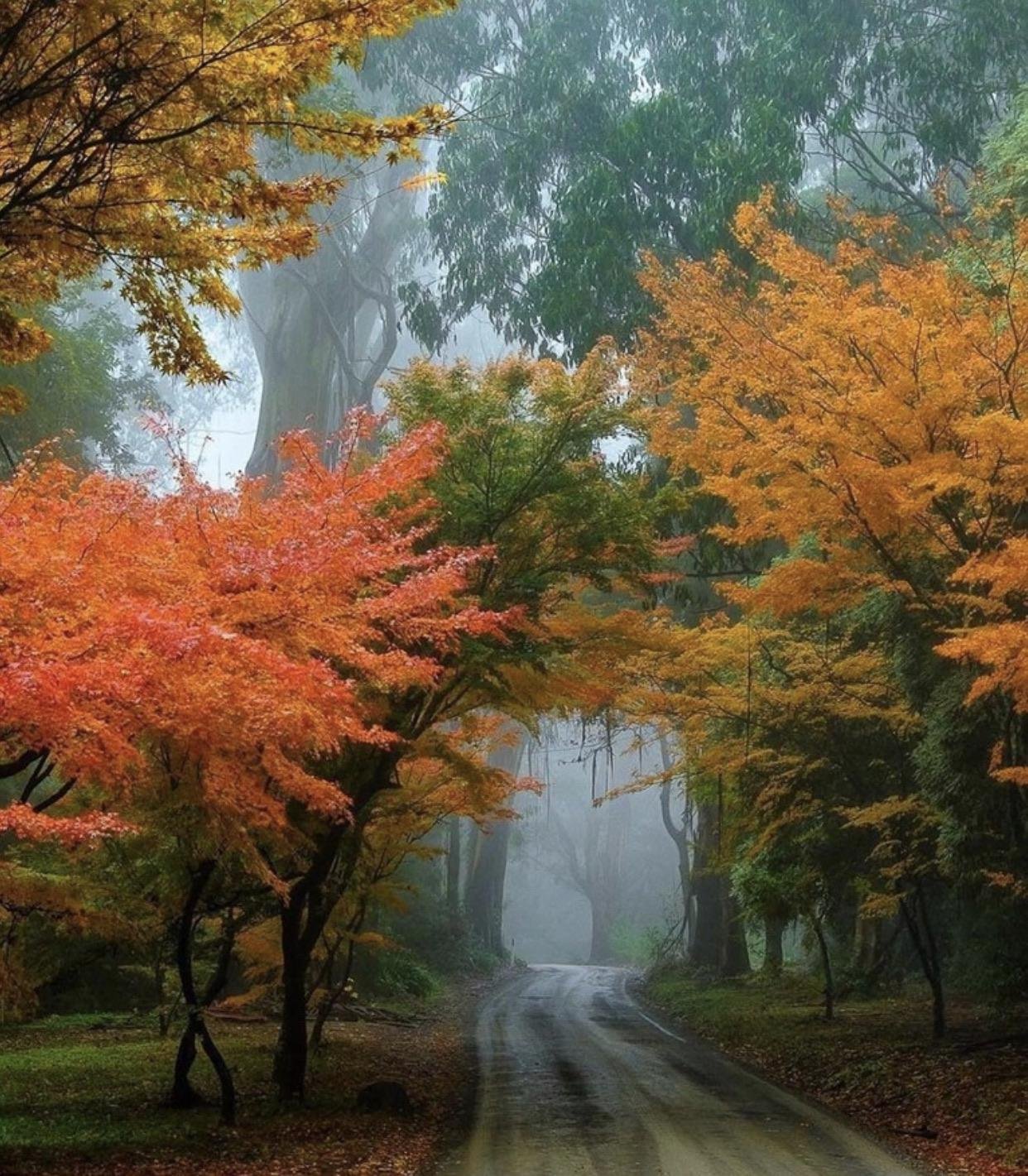 Осенью очень красиво. Красивая осень. Осенняя природа. Природа осенью. Прекрасная осень.