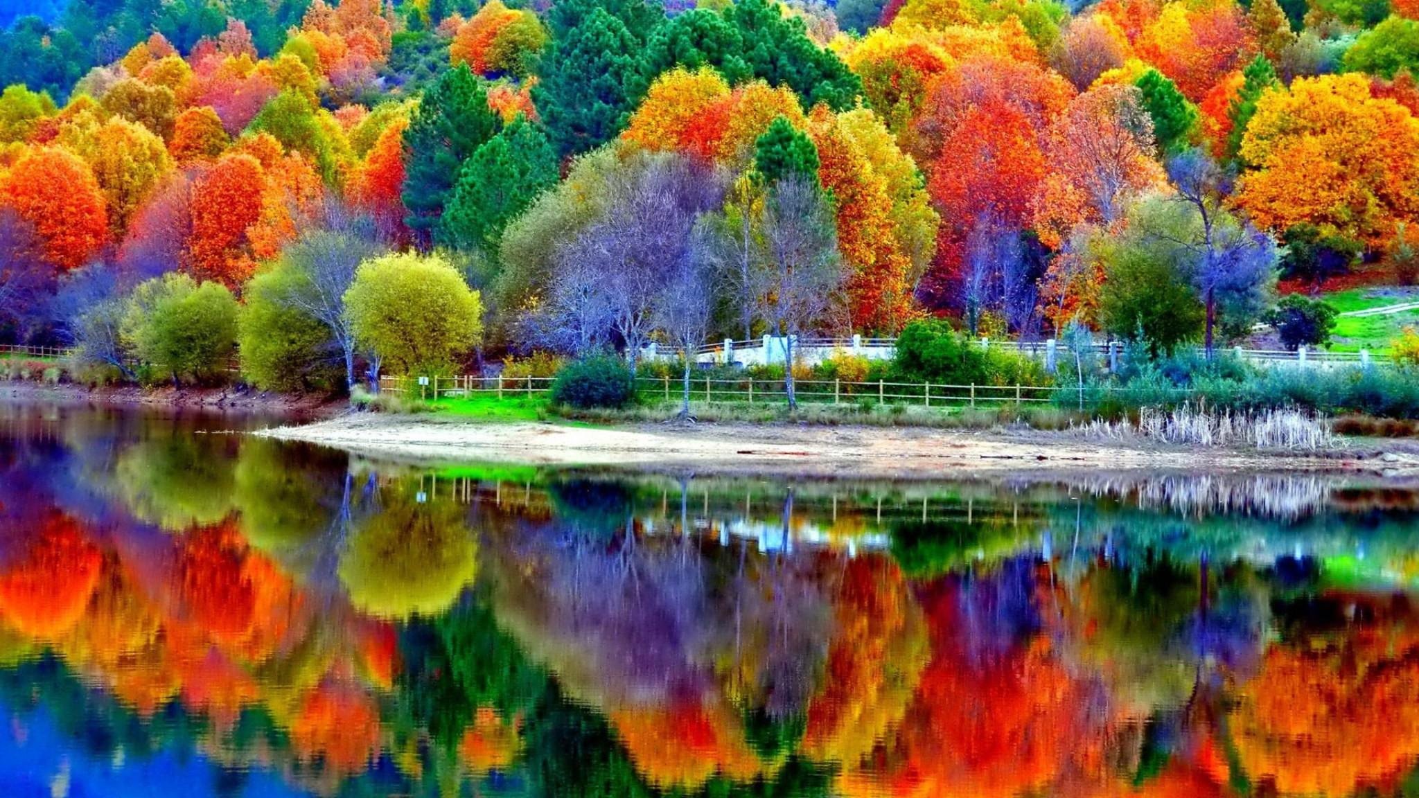Вот и пришла разноцветная осень. Красивая осень. Яркая природа. Краски осени. Яркие краски осени.