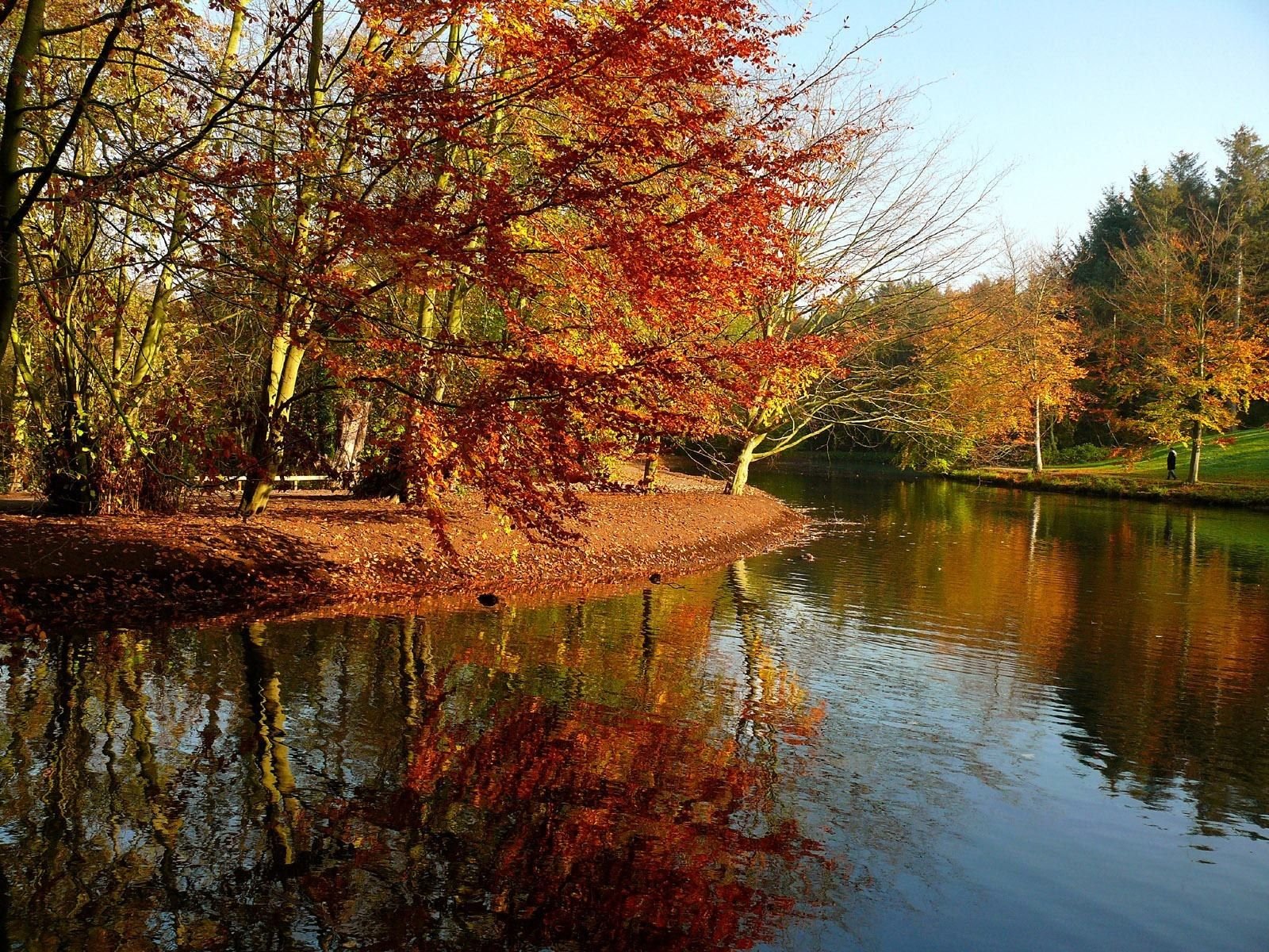 В парк пришла осень. Осенний пейзаж. Золотая осень. Красивая осень. Красота осени.
