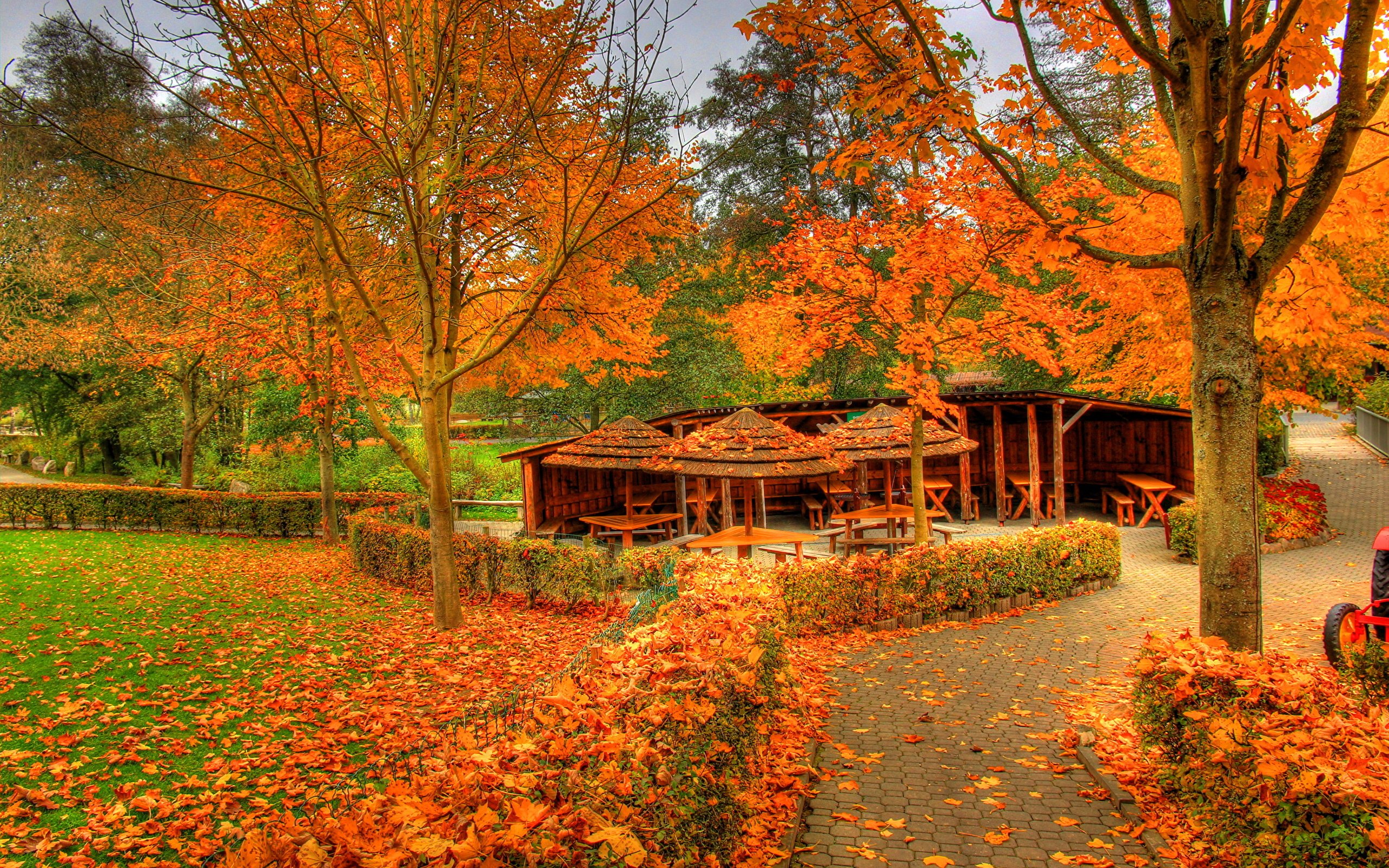 Картинка времена года осень. Осенний сад. Осень в саду. Осенний ландшафт. Красивый сад осенью.