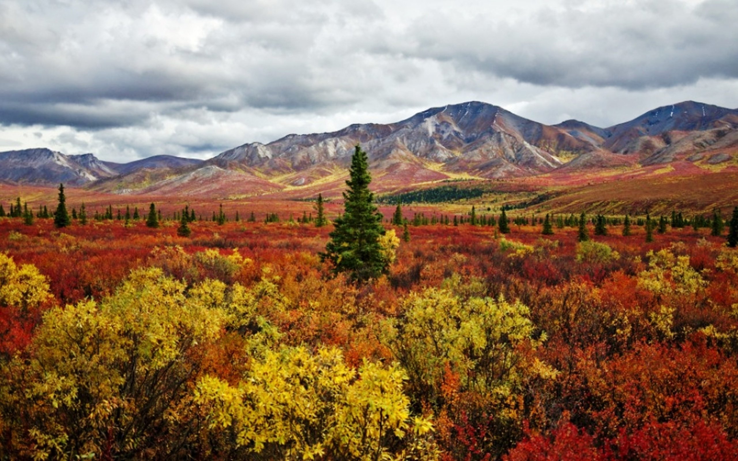 Невероятная осень. Парк Денали Аляска осень. Колыма горы. Камчатка осень. Камчатка осенью.
